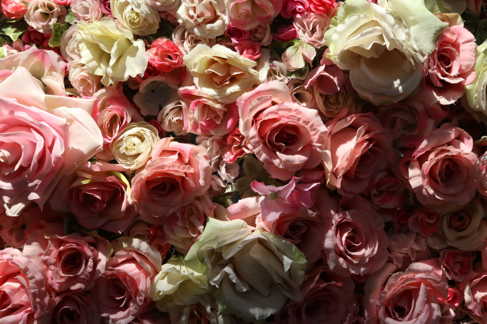 Canon EOS 7D Mark II sample photo. Background, bunch, of, flowers photography