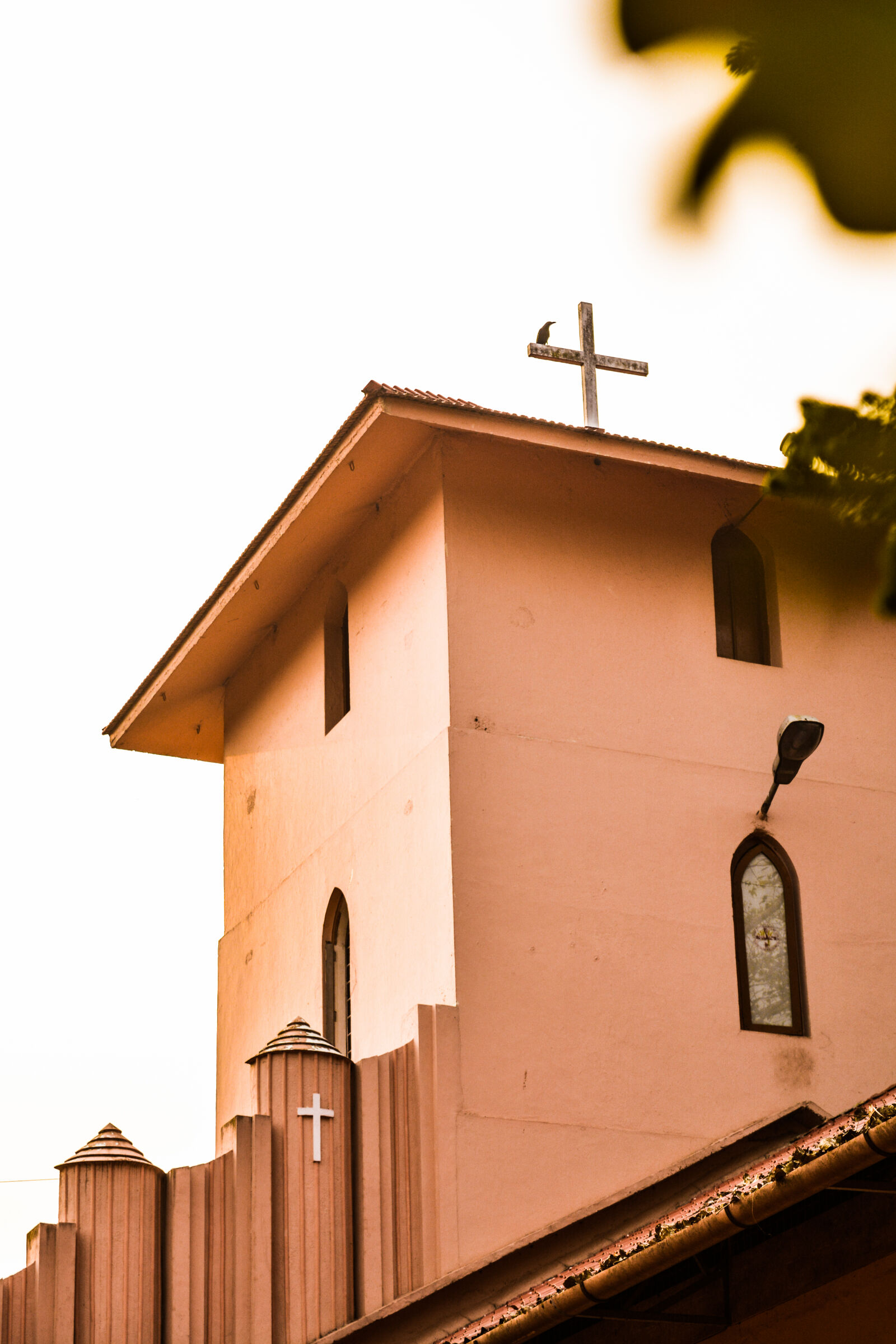 Nikon D5200 sample photo