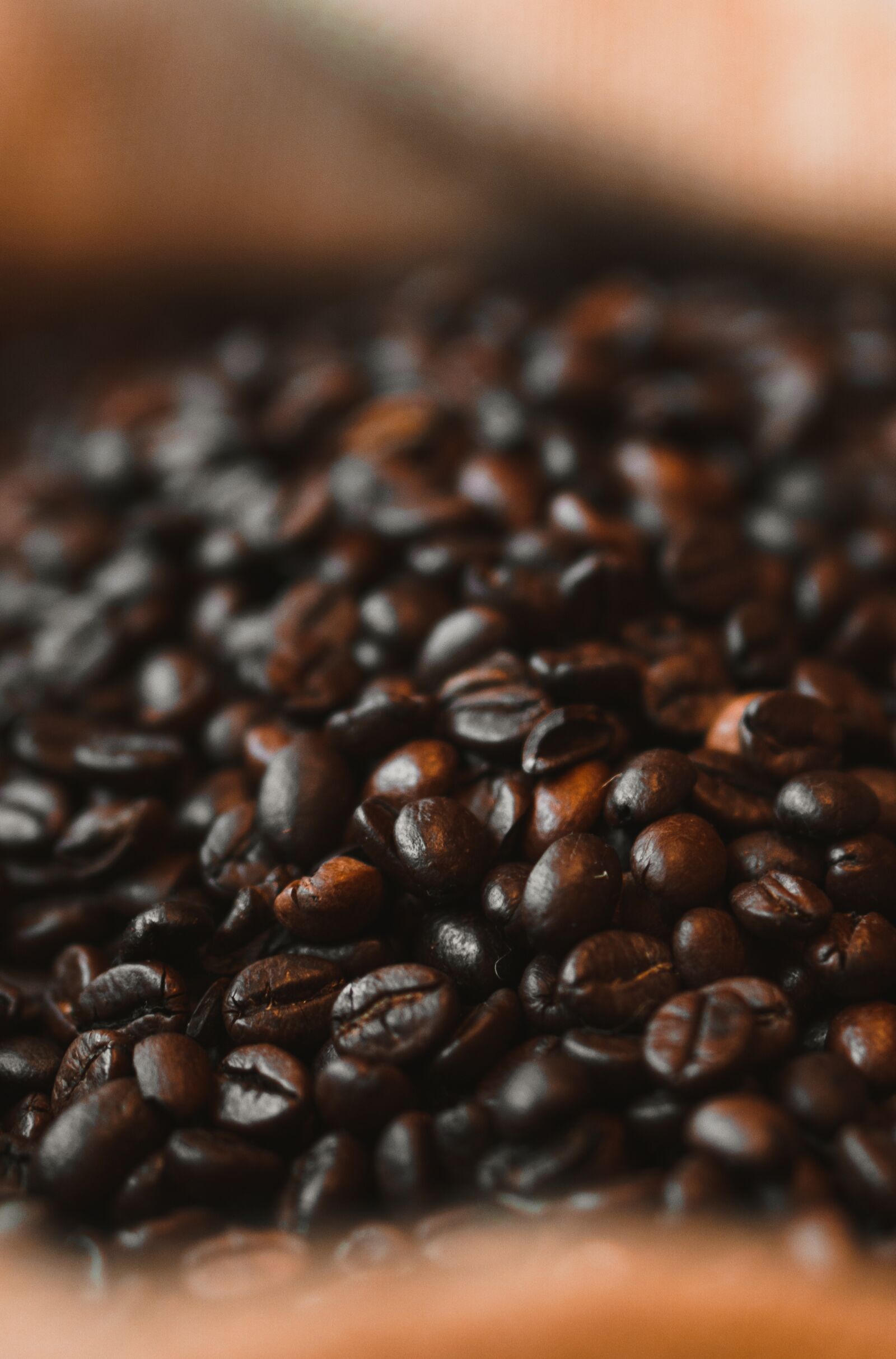 E 50mm F1.8 OSS sample photo. Coffee, coffee grain, aroma photography