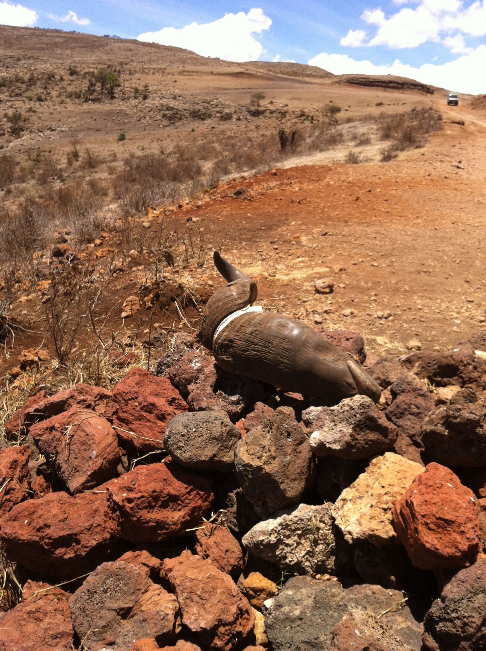Apple iPhone 4 sample photo. Africa, safari, tanzania photography