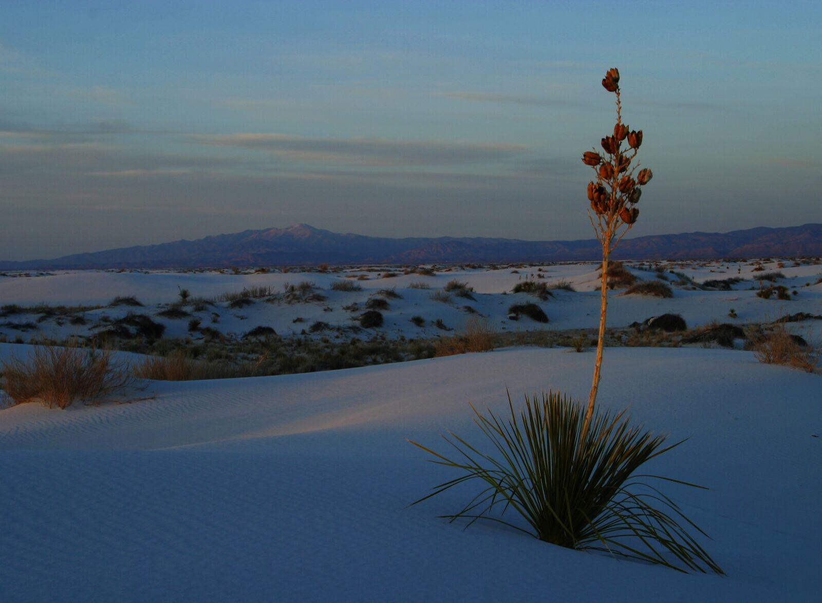 Canon EOS D60 sample photo. White sands, new mexico photography