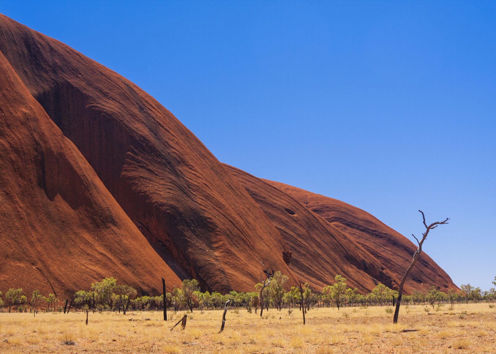Canon EOS 40D sample photo. Australia, ayers rock, northern photography