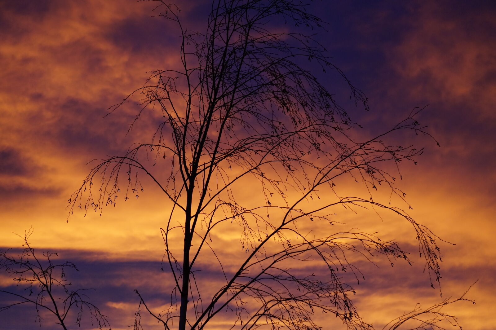 Sony E 55-210mm F4.5-6.3 OSS sample photo. Sky, clouds, sunrise, silhouette photography