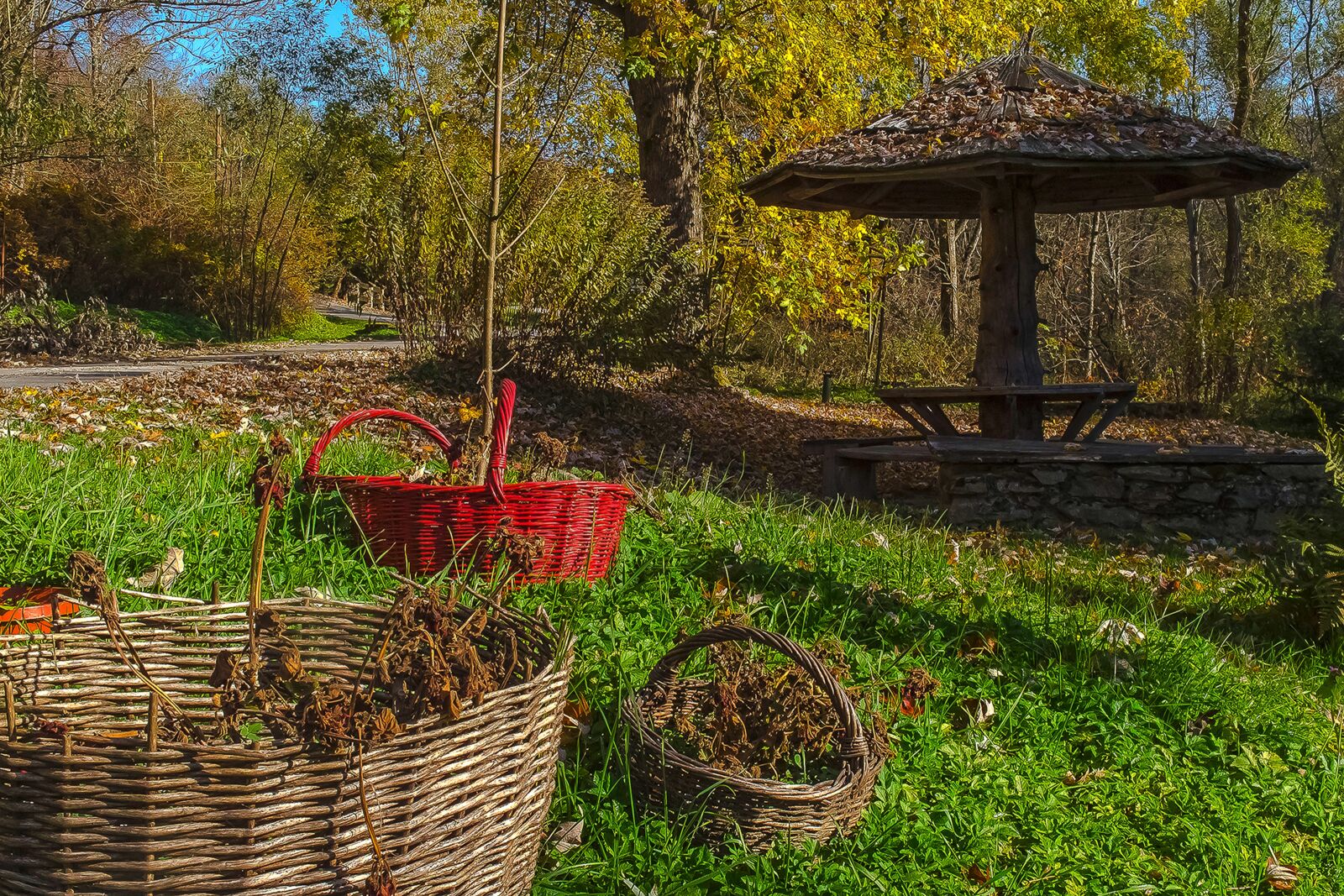 Samsung EX1 sample photo. Autum, baskets, grass photography