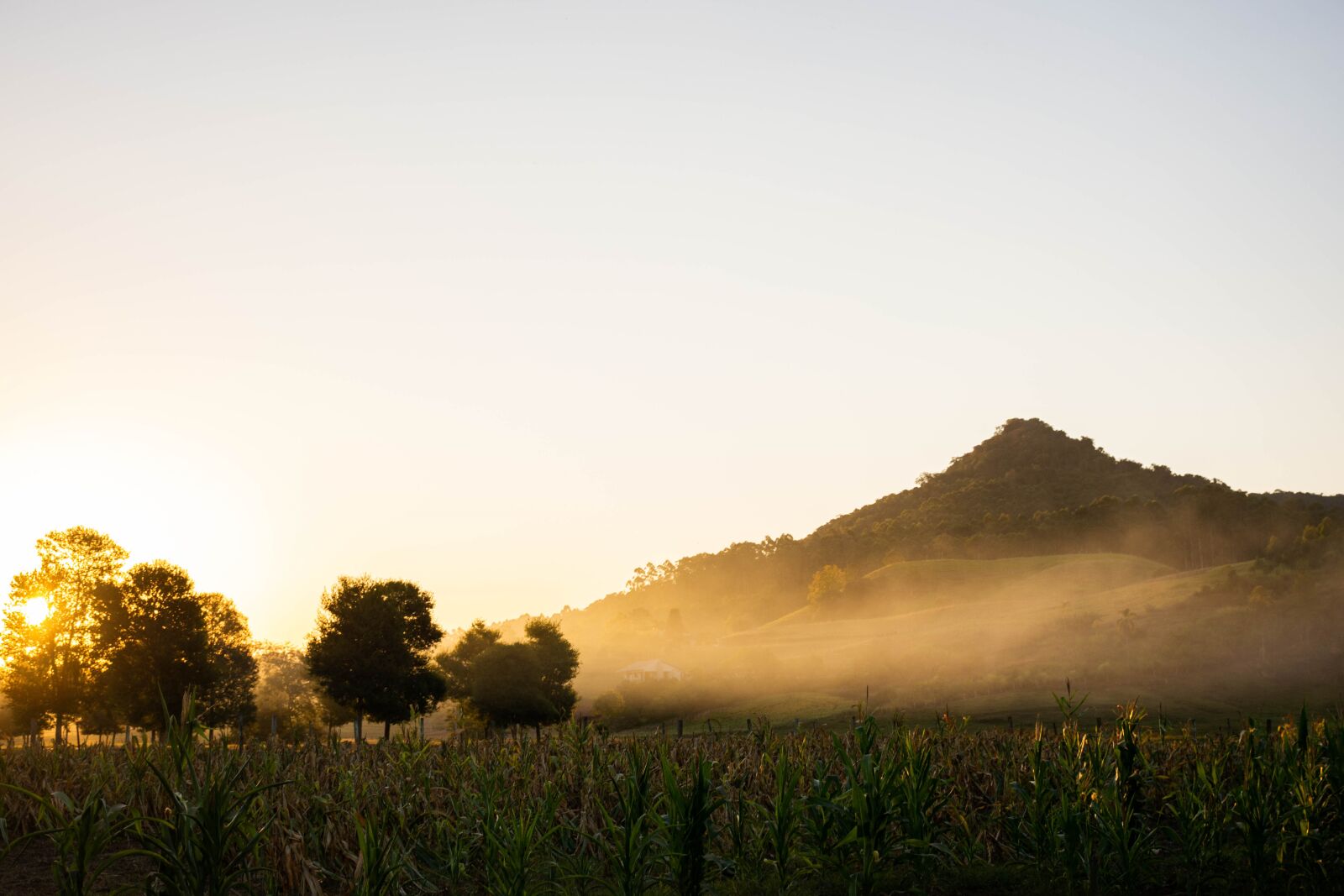 Nikon D7200 sample photo. Sunset, foggy, landscape photography