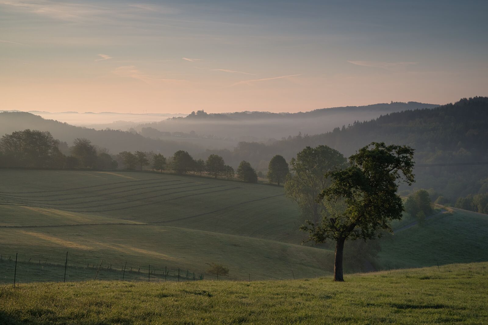 Nikon Z6 + Nikon Nikkor Z 24-70mm F4 S sample photo. Morgenstimmung, landscape, nature photography