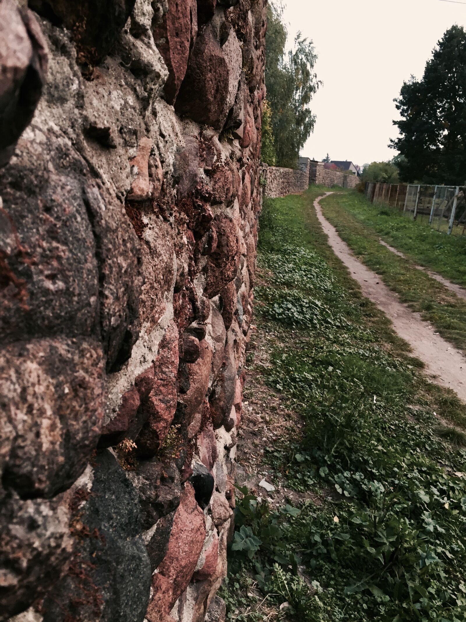 Apple iPhone 6 sample photo