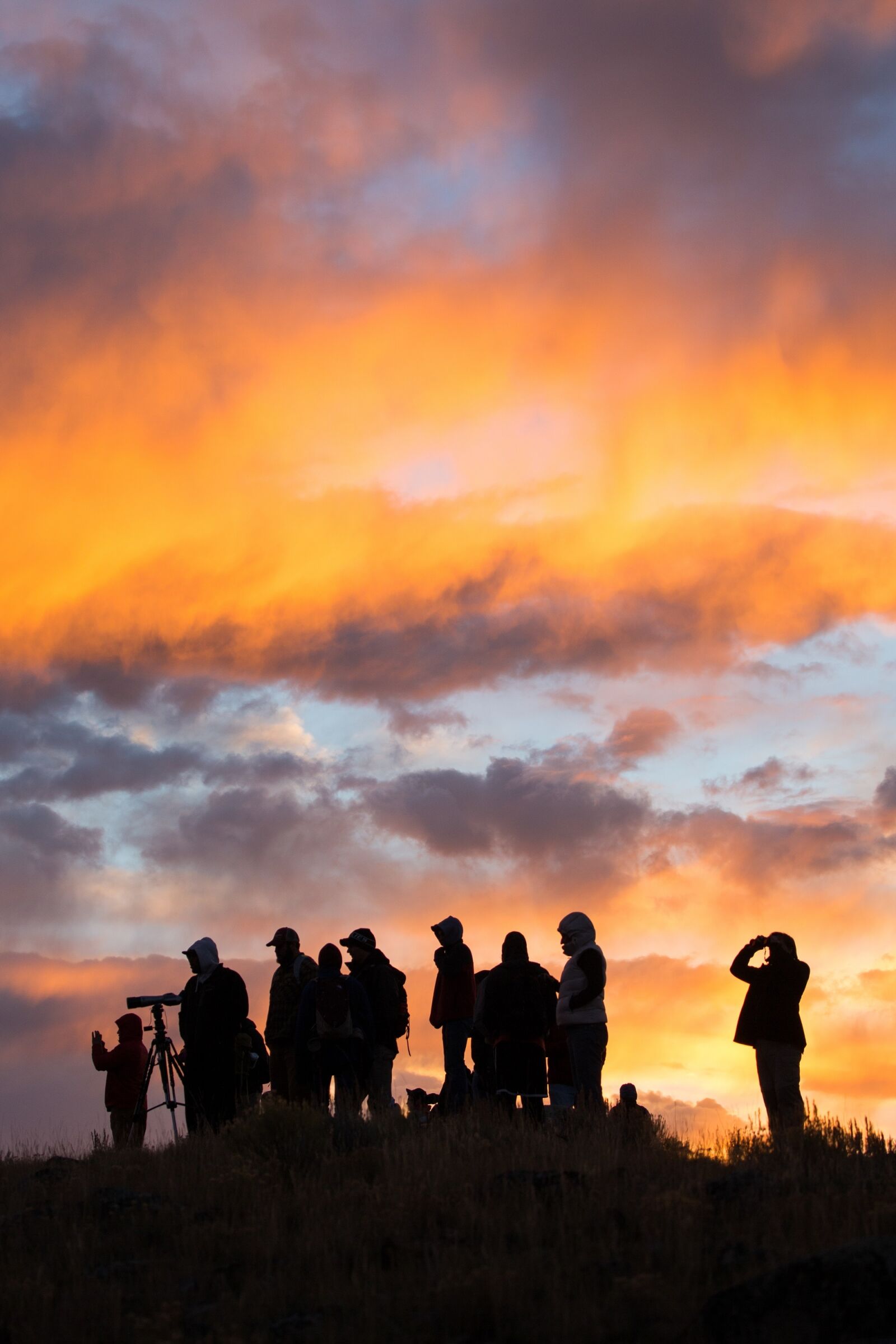 Canon EF 100-400mm F4.5-5.6L IS USM sample photo. Sunrise, wildlife, viewing photography