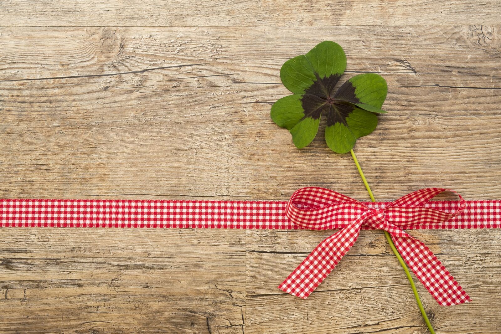 Fujifilm XF 18-55mm F2.8-4 R LM OIS sample photo. Klee, lucky clover, luck photography