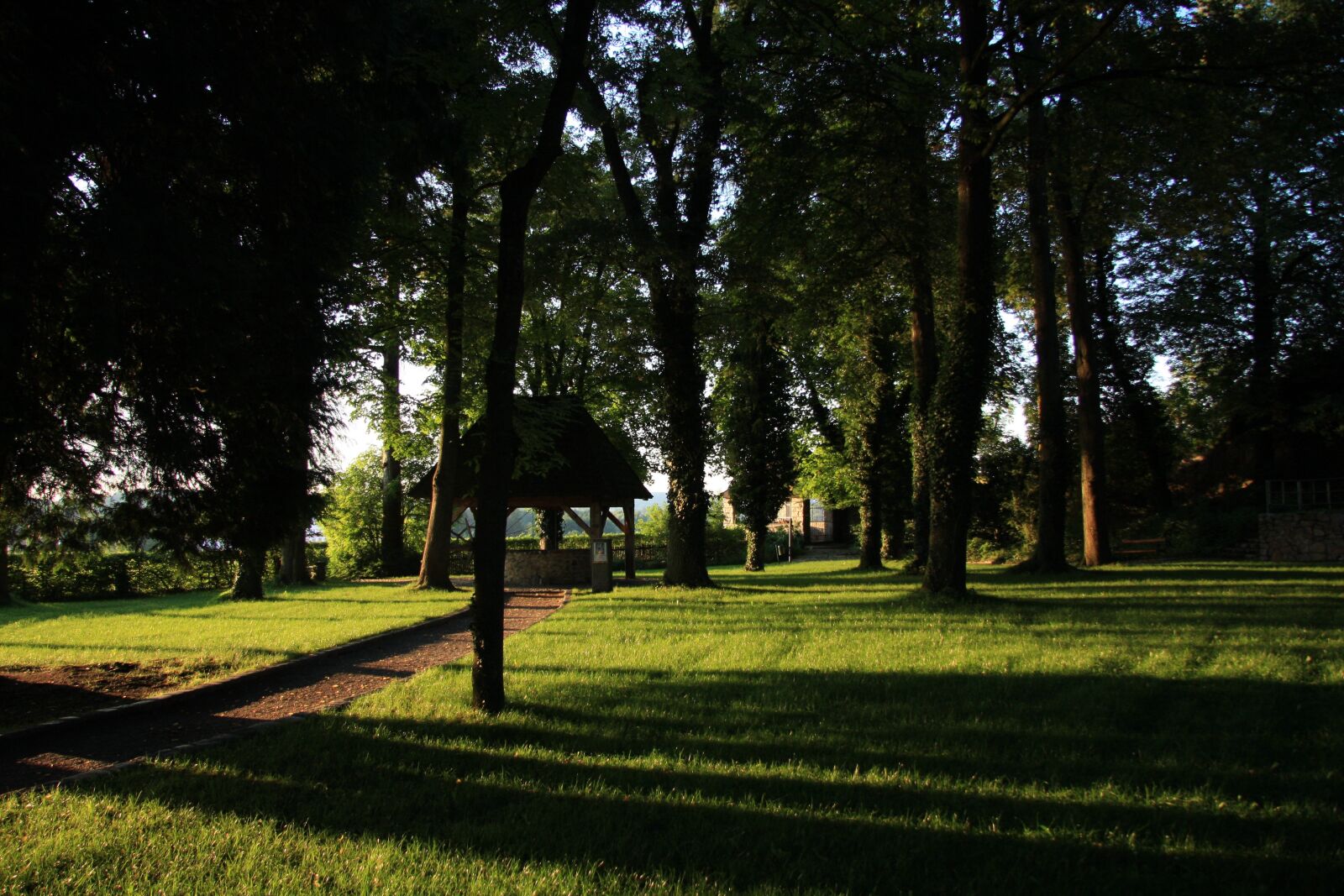 Canon EOS 40D sample photo. Park, meadow, summer photography