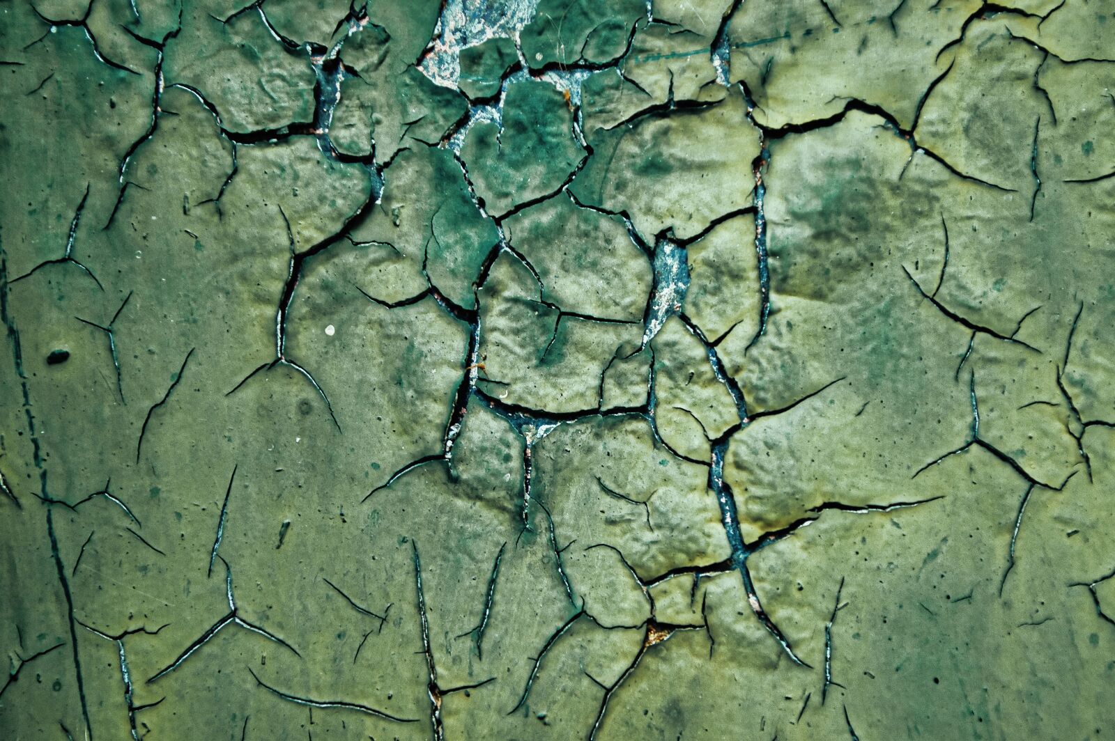 Nikon D3200 sample photo. Texture, metal, painting photography
