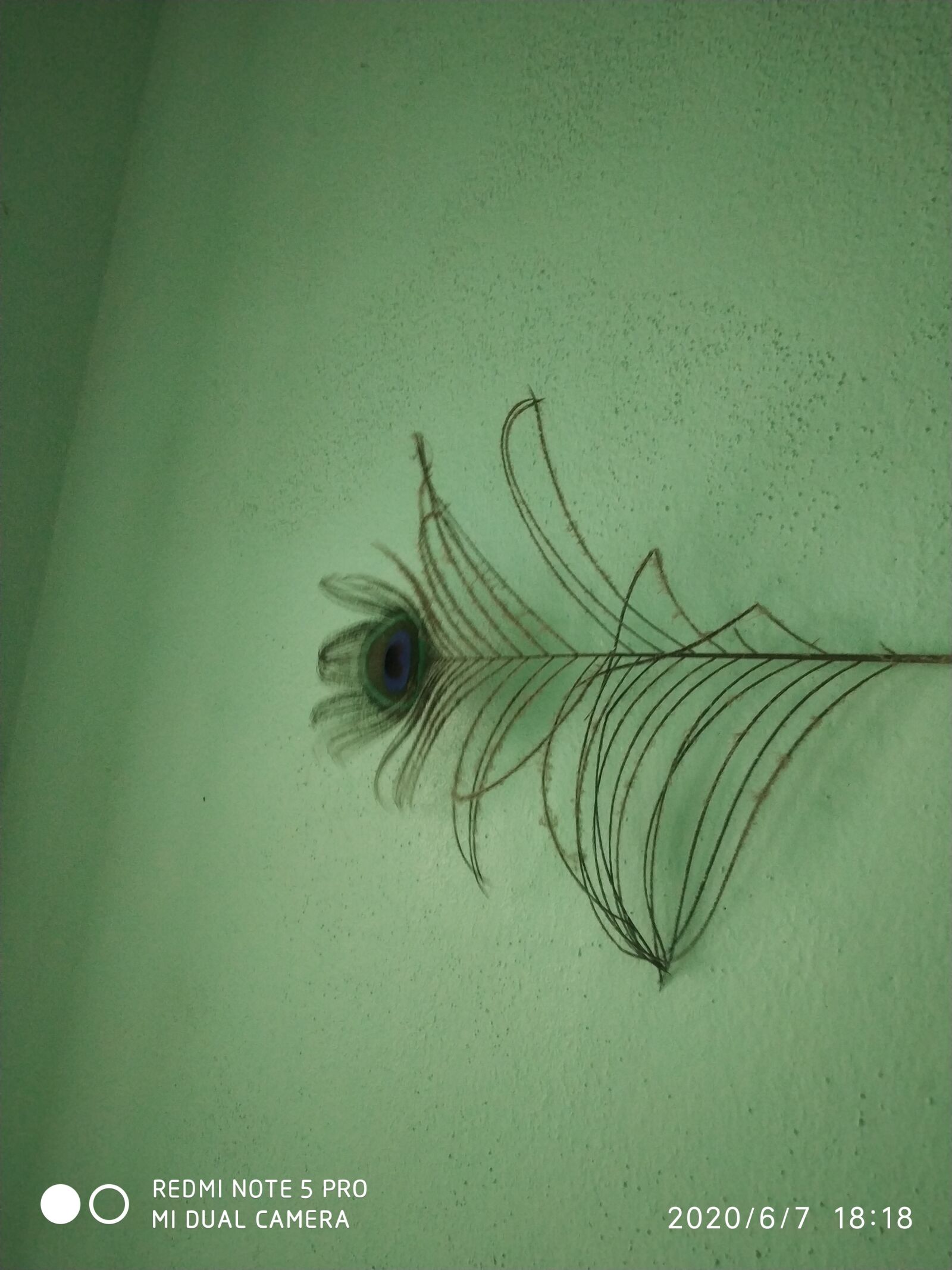 Xiaomi Redmi Note 5 Pro sample photo. Peacock, feather, krishna photography