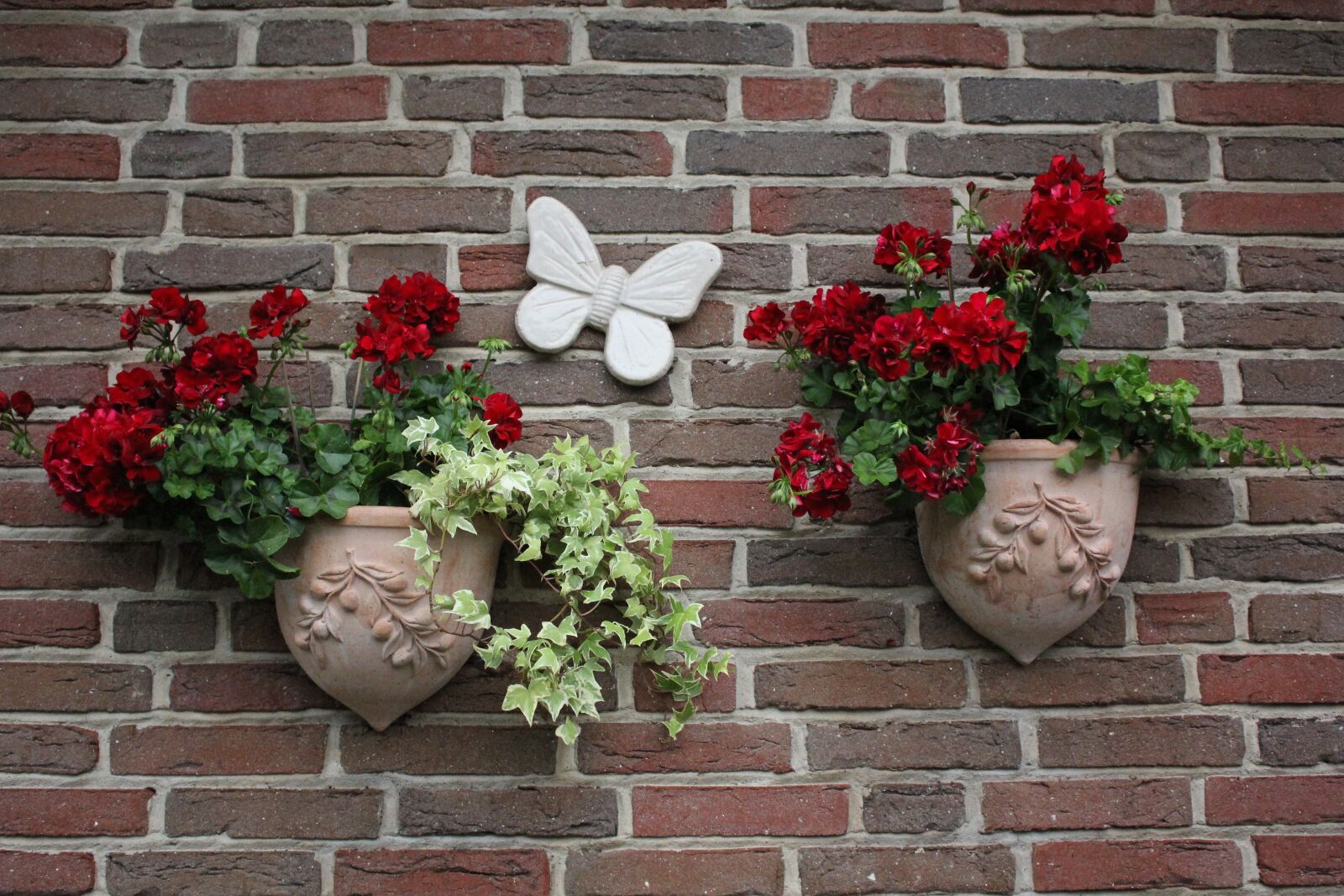 Canon EOS 60D sample photo. Mural, flower, wall photography
