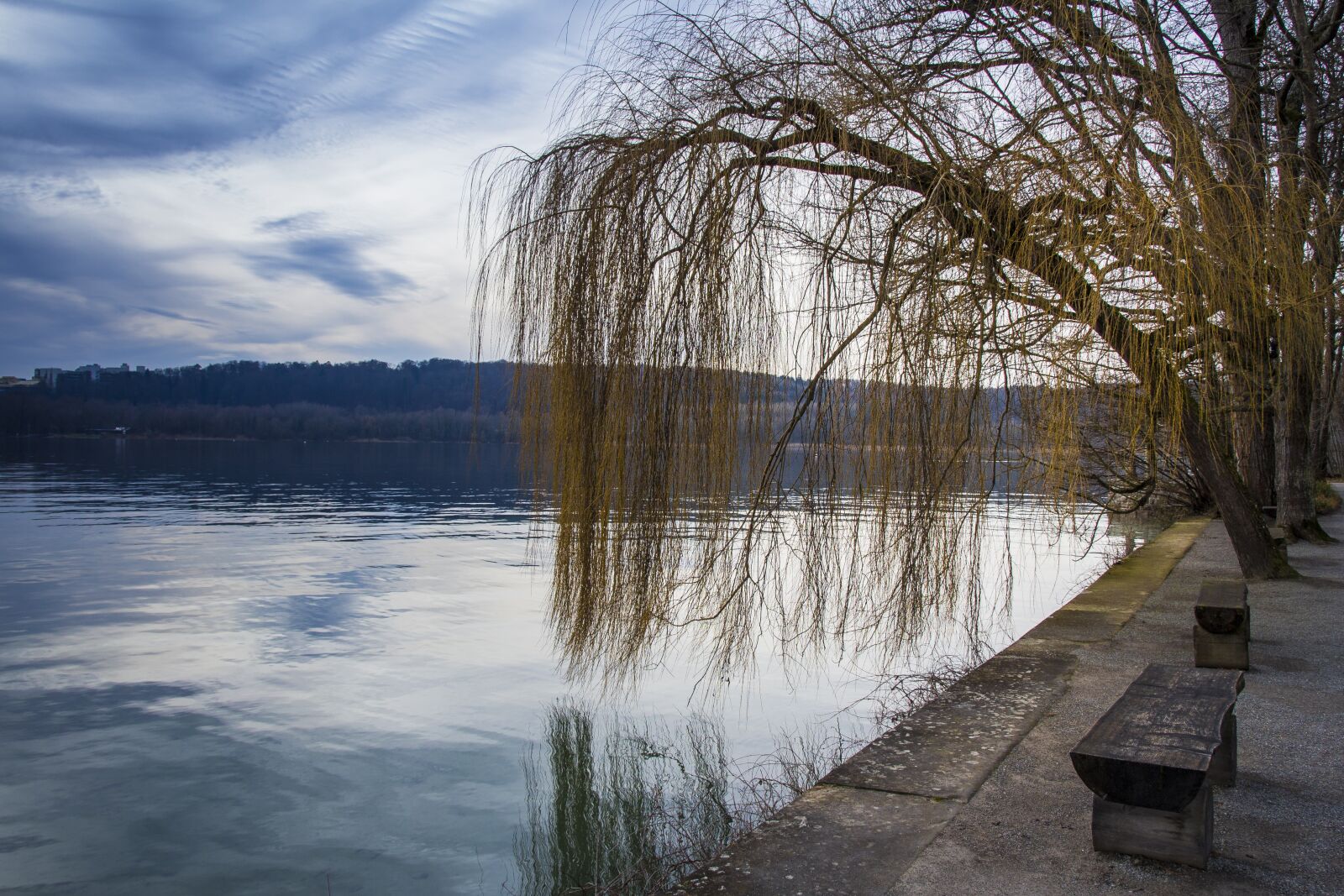 Canon EOS 650D (EOS Rebel T4i / EOS Kiss X6i) sample photo. Mainau island, winter, cold photography