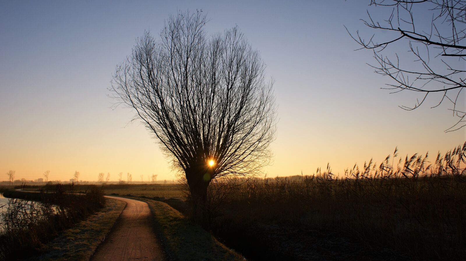Sony Alpha DSLR-A350 sample photo. Willow, sunrise, winter photography