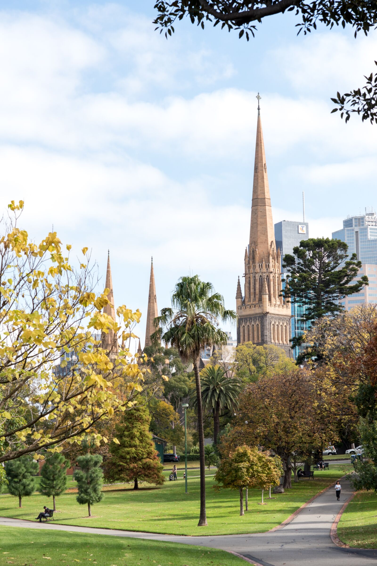 Nikon D750 sample photo. St patrick's cathedral, melbourne photography