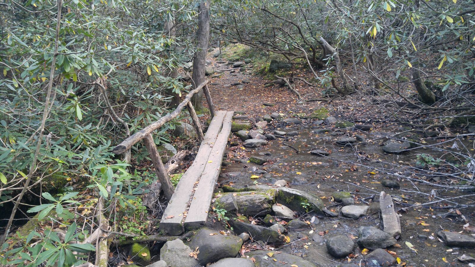 LG G4 sample photo. Footbridge, hiking, trail, smoky photography