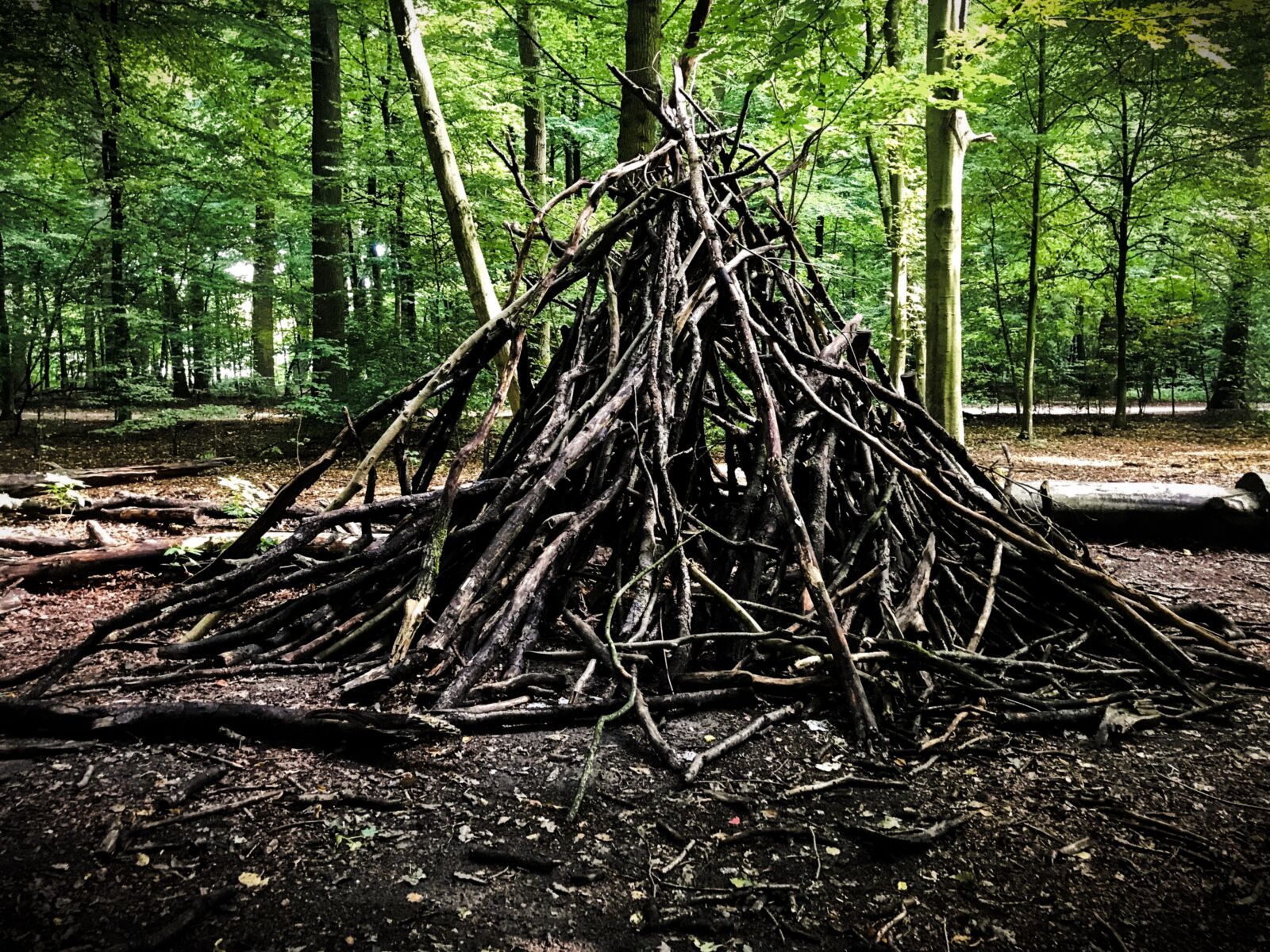 iPhone 7 back camera 3.99mm f/1.8 sample photo. Tipi, forest, shelter photography