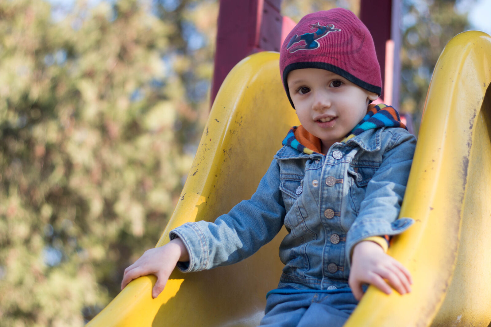 Canon EOS 70D + Canon EF 50mm F1.8 II sample photo
