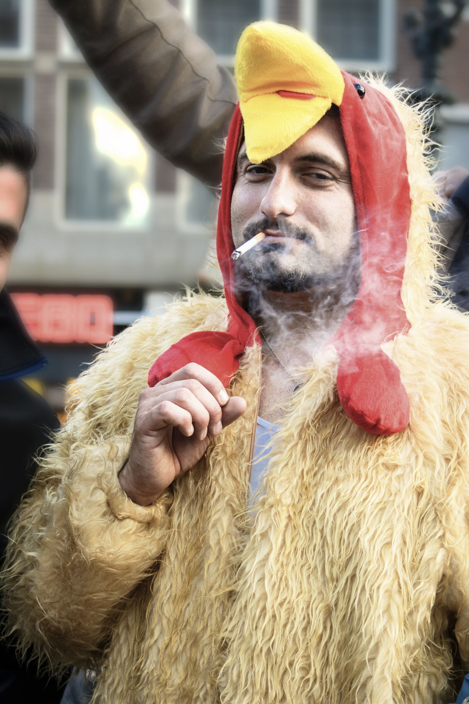 Nikon D5200 sample photo. Chicken, great, saskia photography