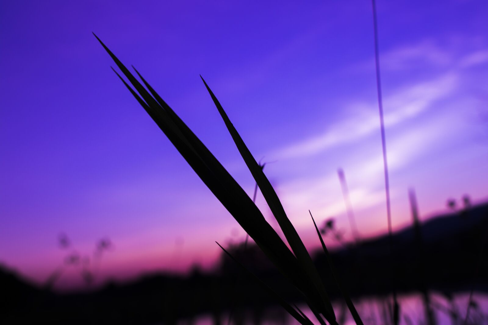 Canon EOS 77D (EOS 9000D / EOS 770D) + Canon EF-S 18-55mm F3.5-5.6 IS STM sample photo. Evening, sunset, color photography