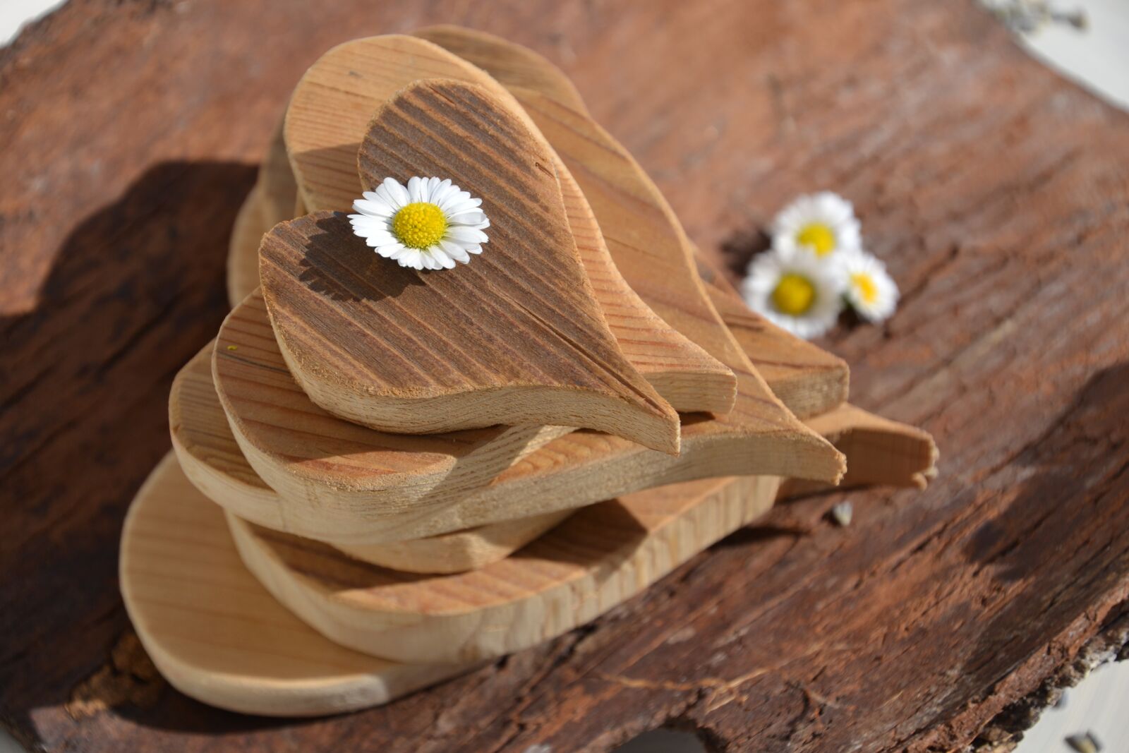 Nikon D3100 sample photo. Love, mother's day, heart photography