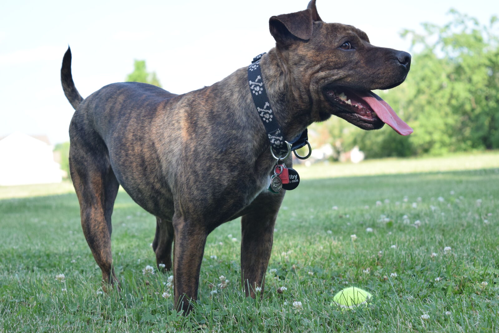 Nikon D3300 sample photo