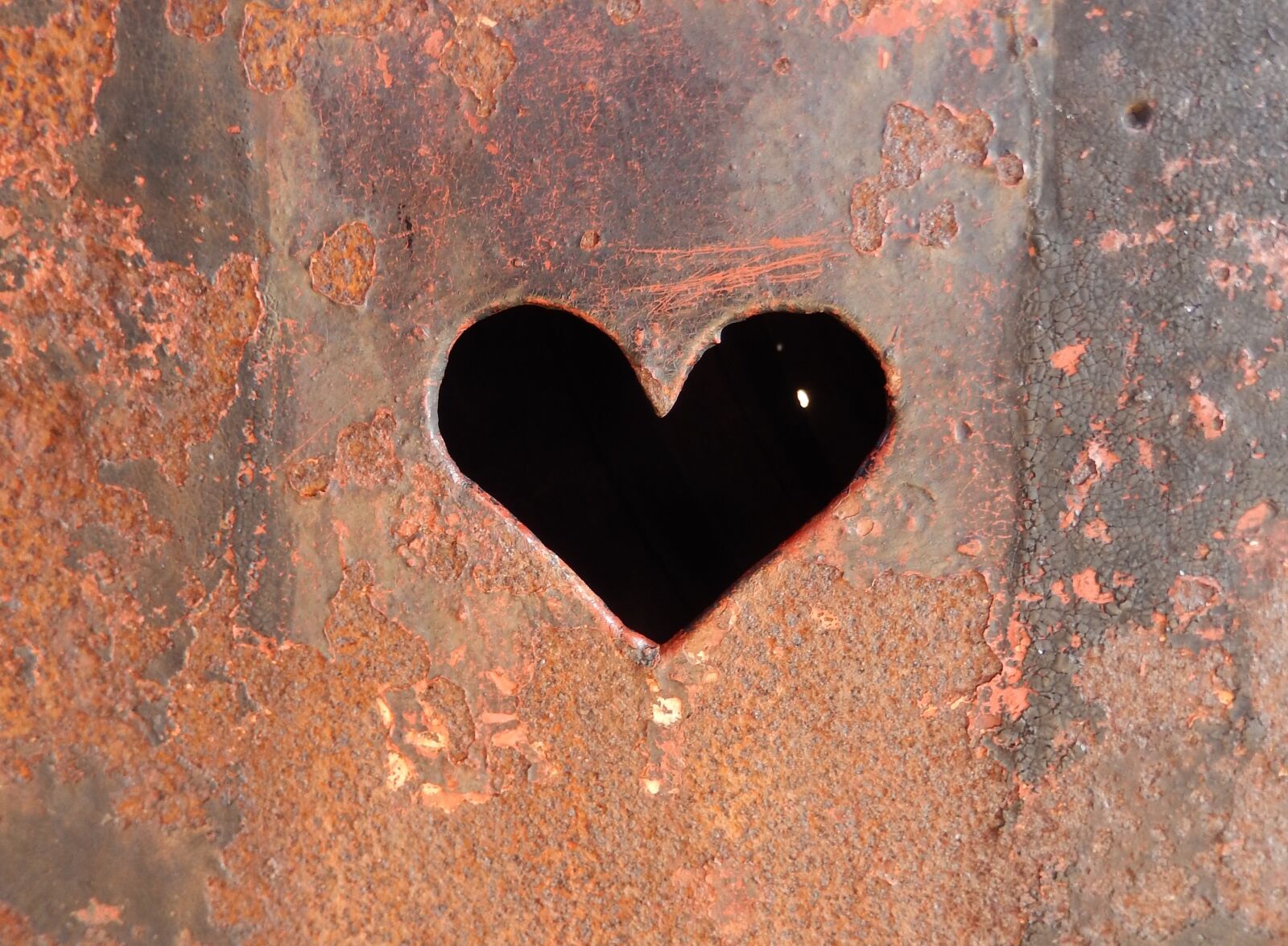 Nikon COOLPIX S9400 sample photo. Heart, rust, affection photography