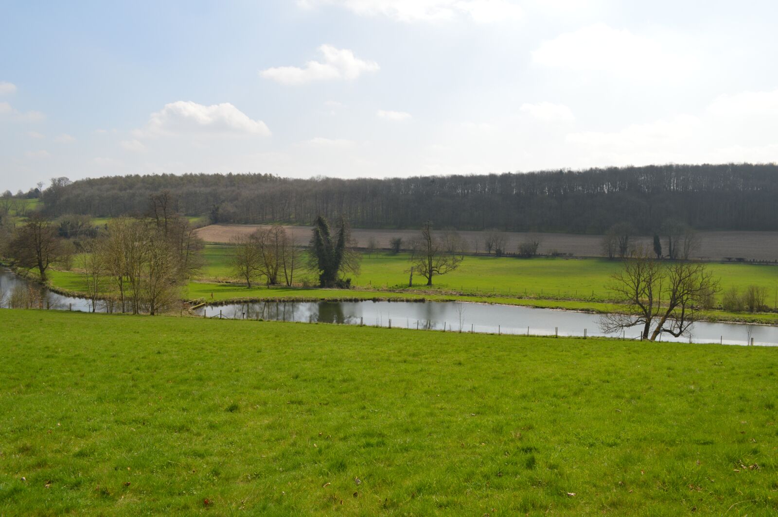 Nikon D3200 sample photo. Grass, landscape, panoramic photography