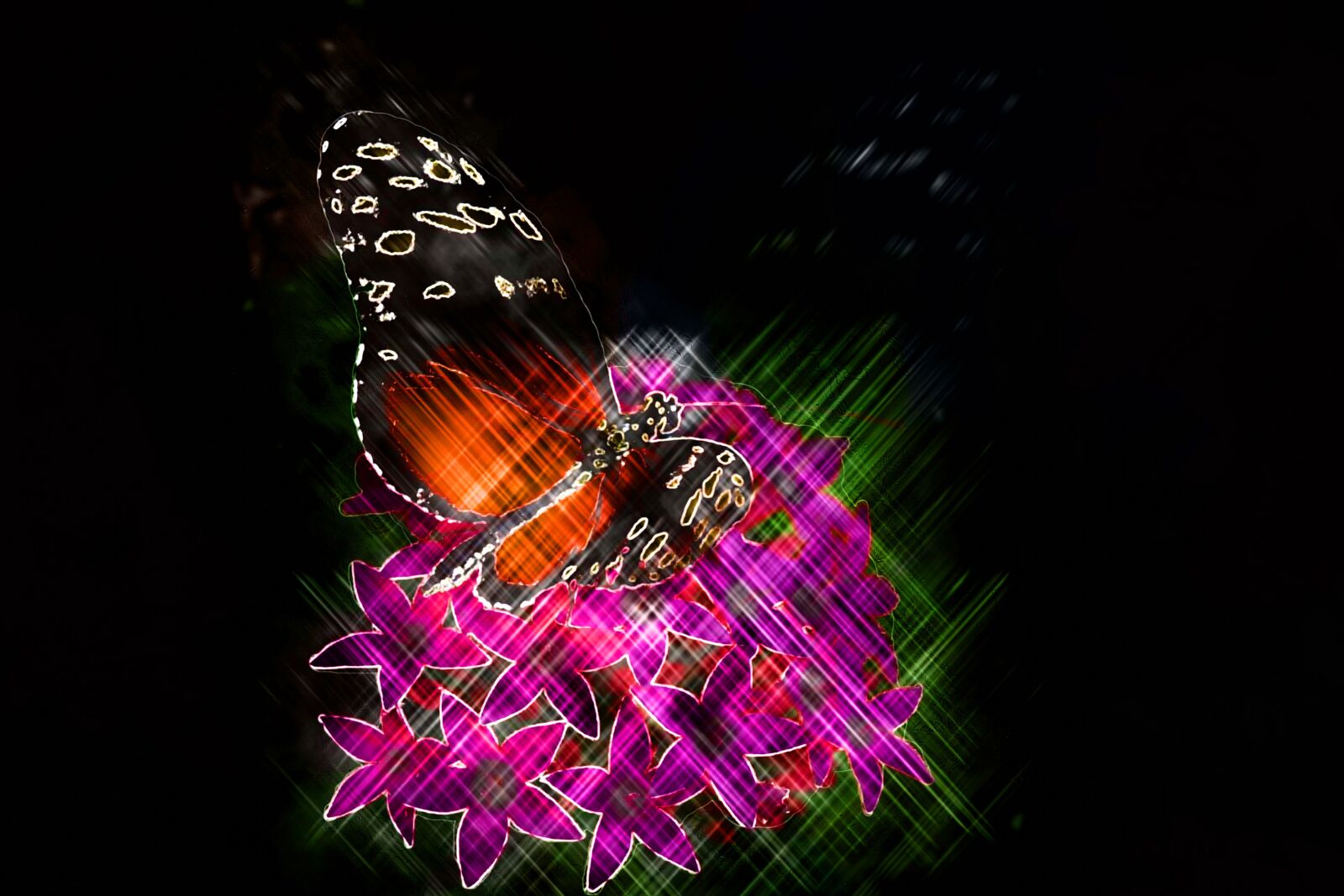 Canon EF-S 18-200mm F3.5-5.6 IS sample photo. Butterfly, art, artistic photography