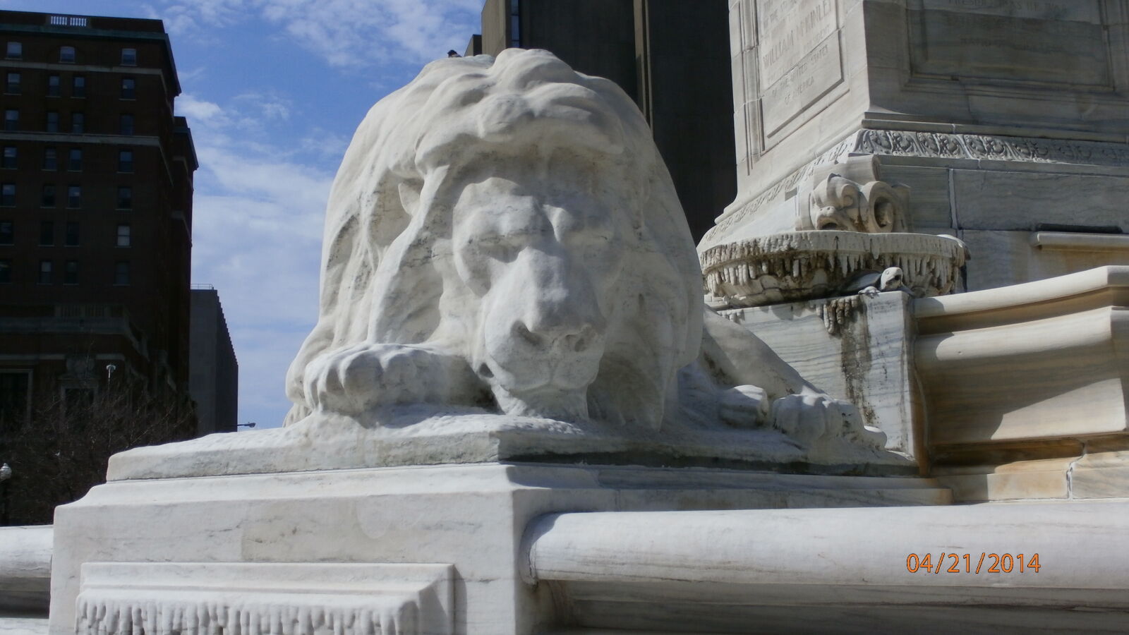 Olympus SZ-15,DZ-100 sample photo. Lion, protector photography