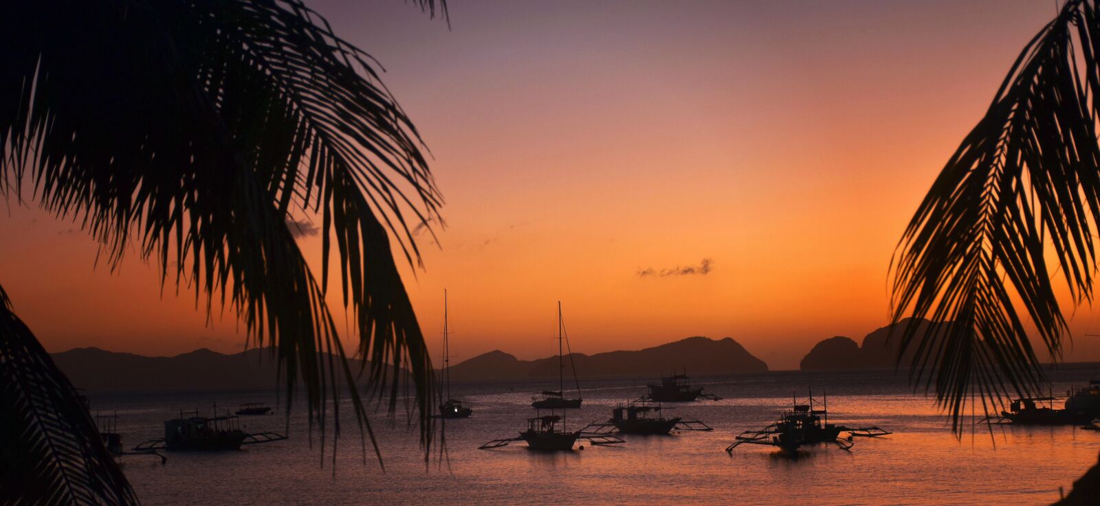 Nikon D5500 sample photo. Sunset, boats, palm trees photography