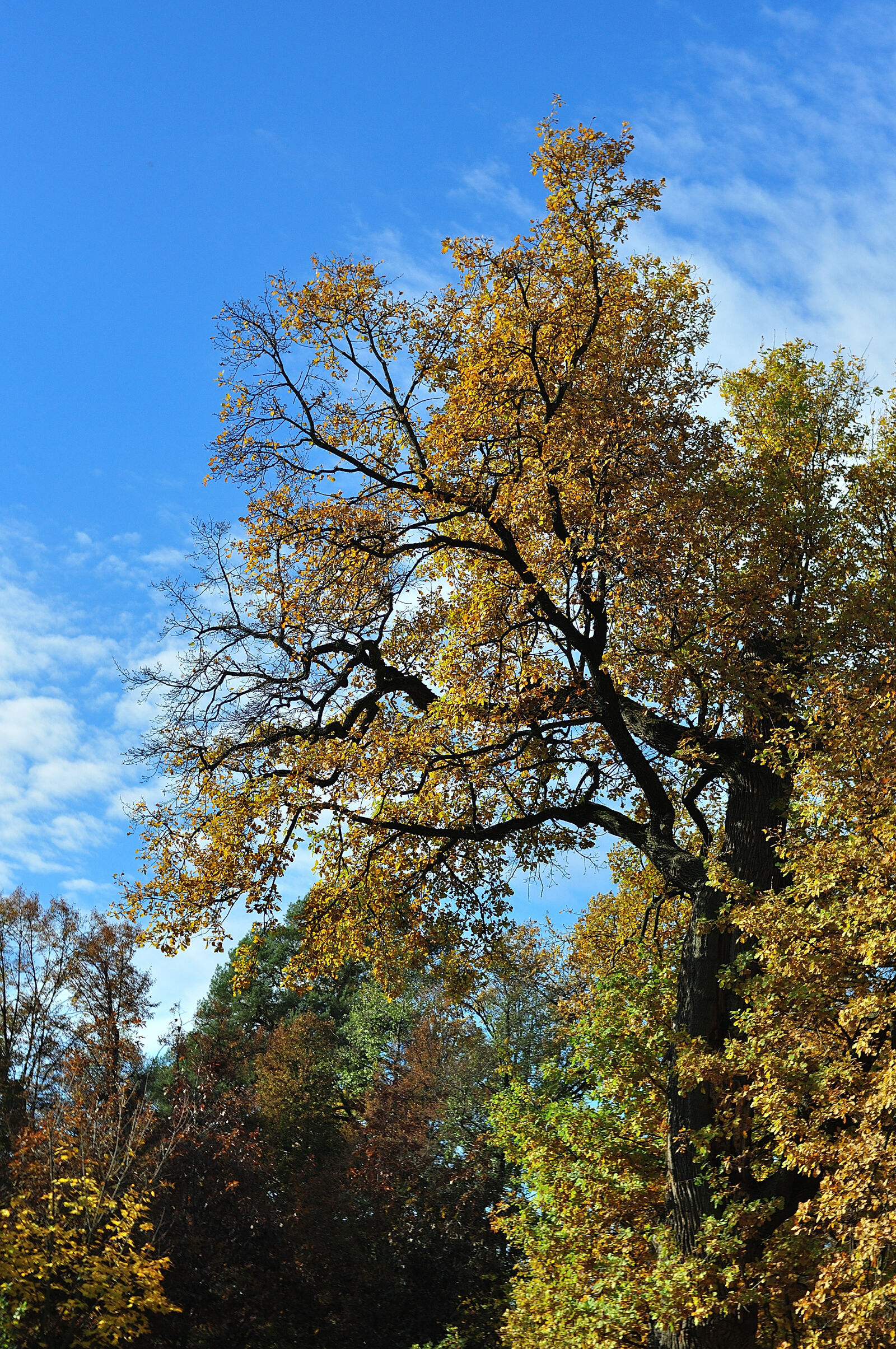 Nikon D90 sample photo