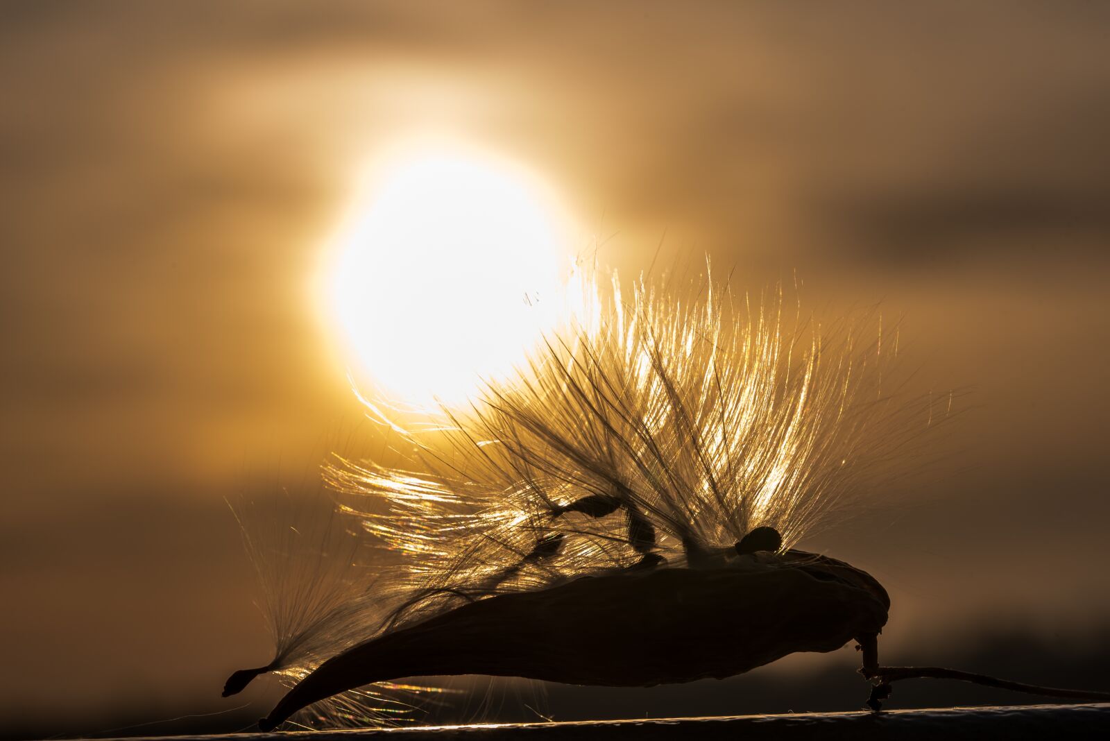 Nikon D750 sample photo. Sunset, sea, nature photography