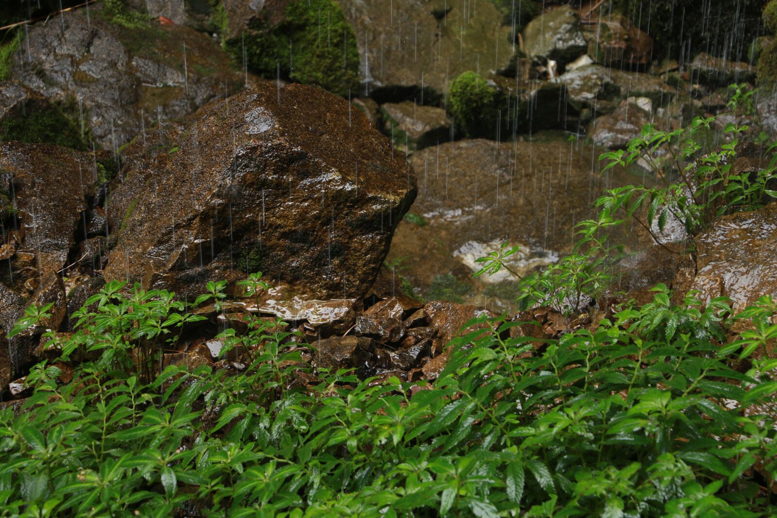 Canon EOS 7D Mark II sample photo. Wulong, stone, sinkhole photography