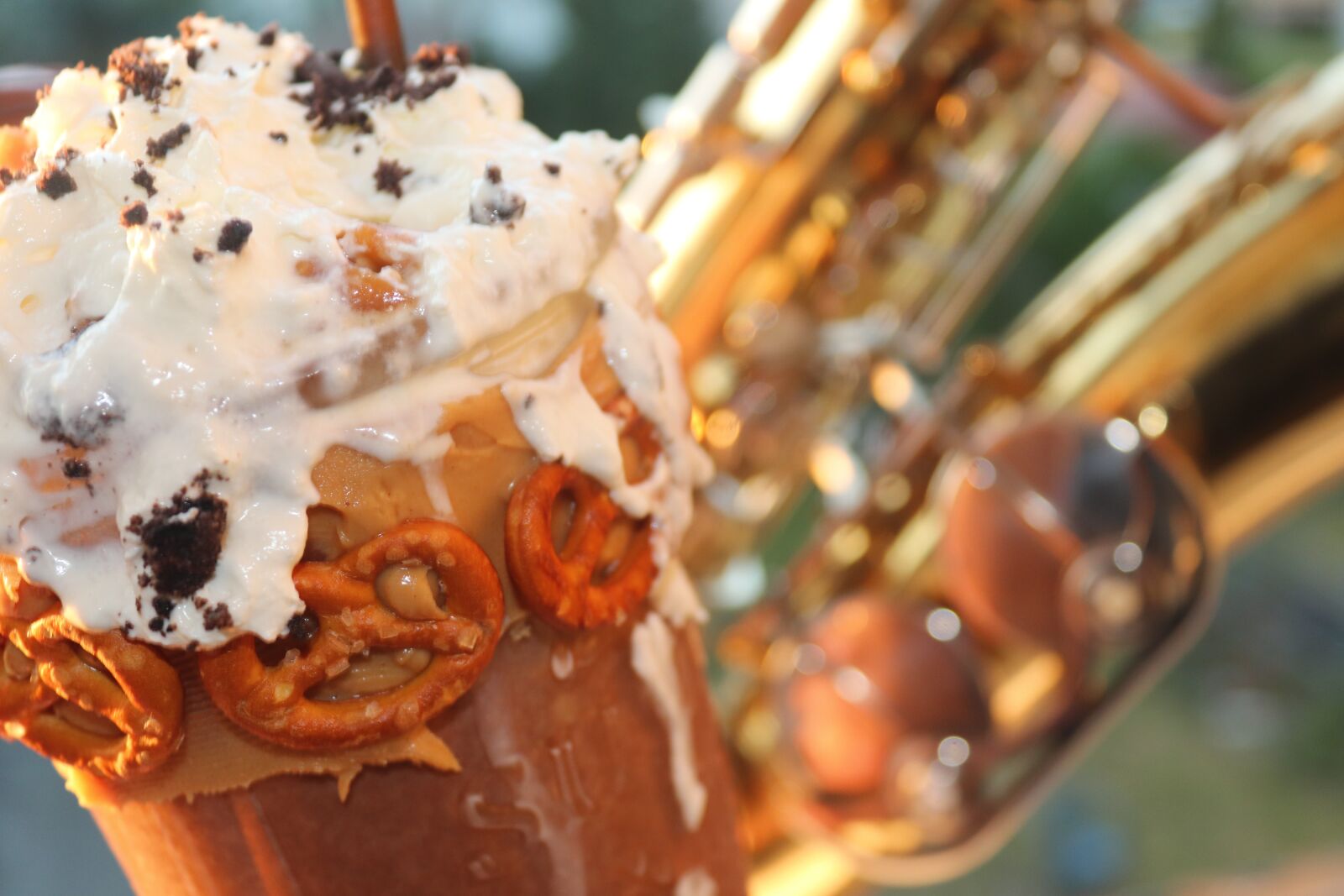 Canon EOS 200D (EOS Rebel SL2 / EOS Kiss X9) sample photo. Saxophone, creative, pretzel photography