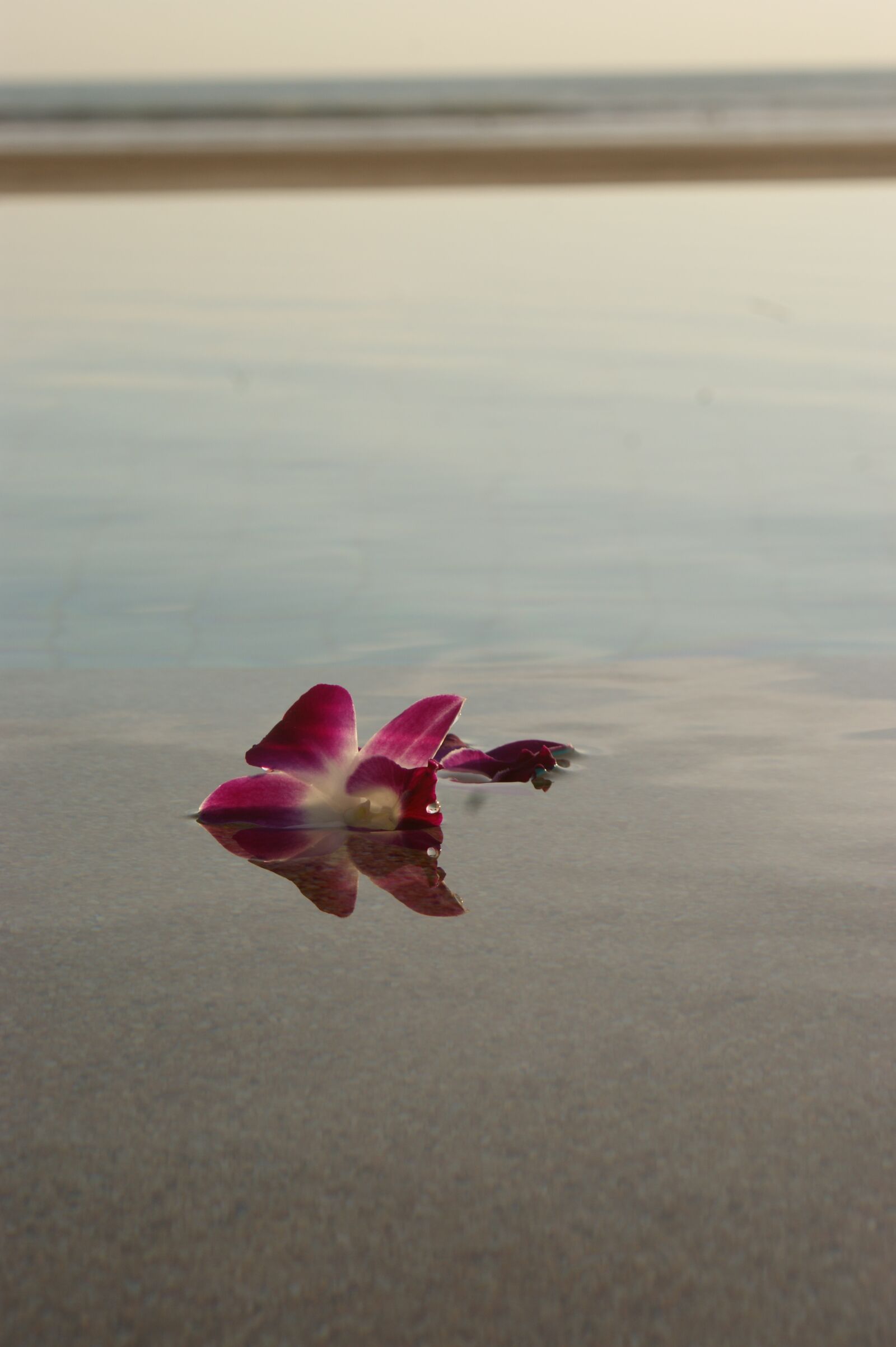 Sony Alpha DSLR-A350 sample photo. Waters, nature, tropical photography
