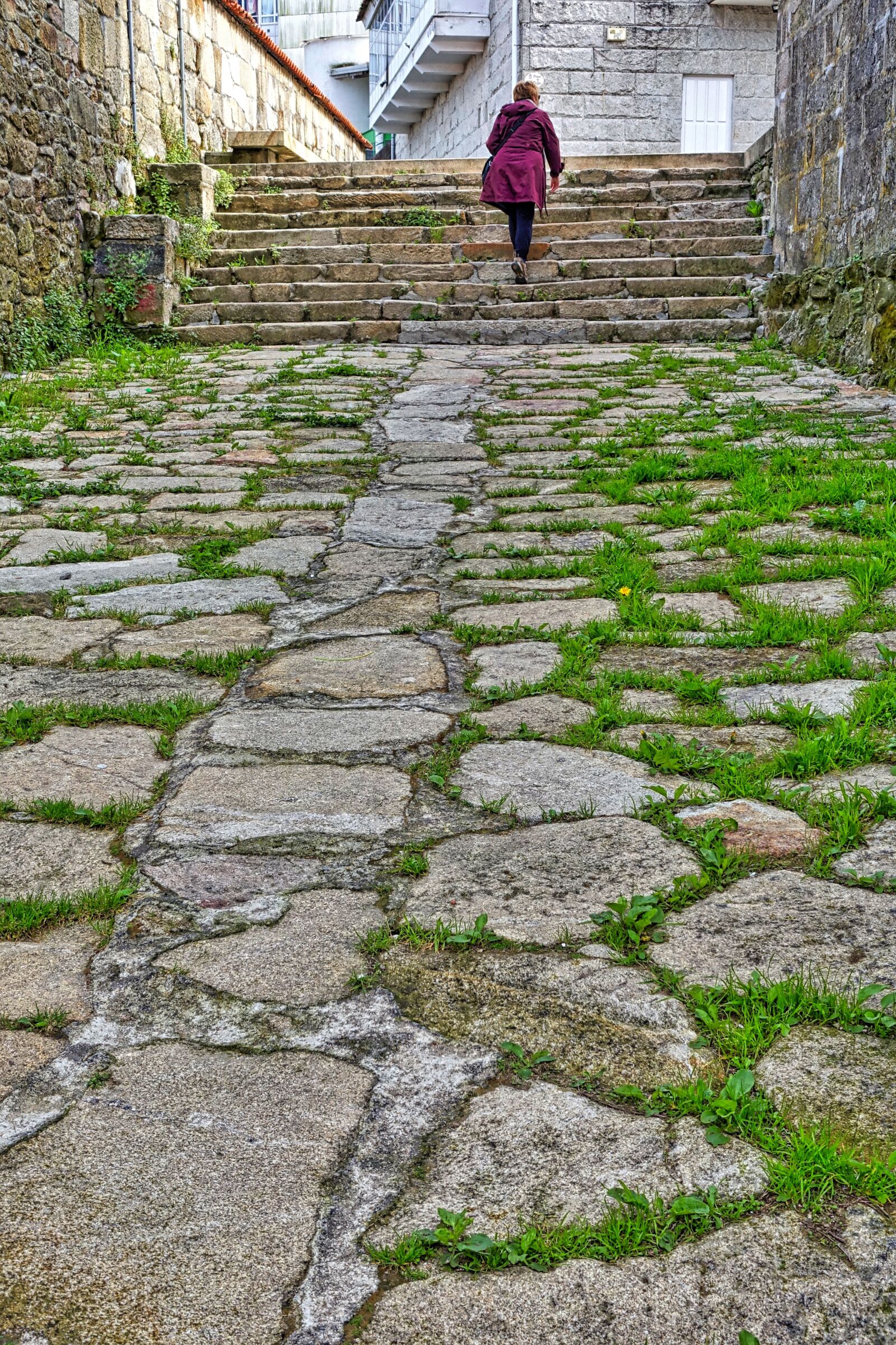 Sony Cyber-shot DSC-RX100 III sample photo. Path, grassy, cobblestones photography