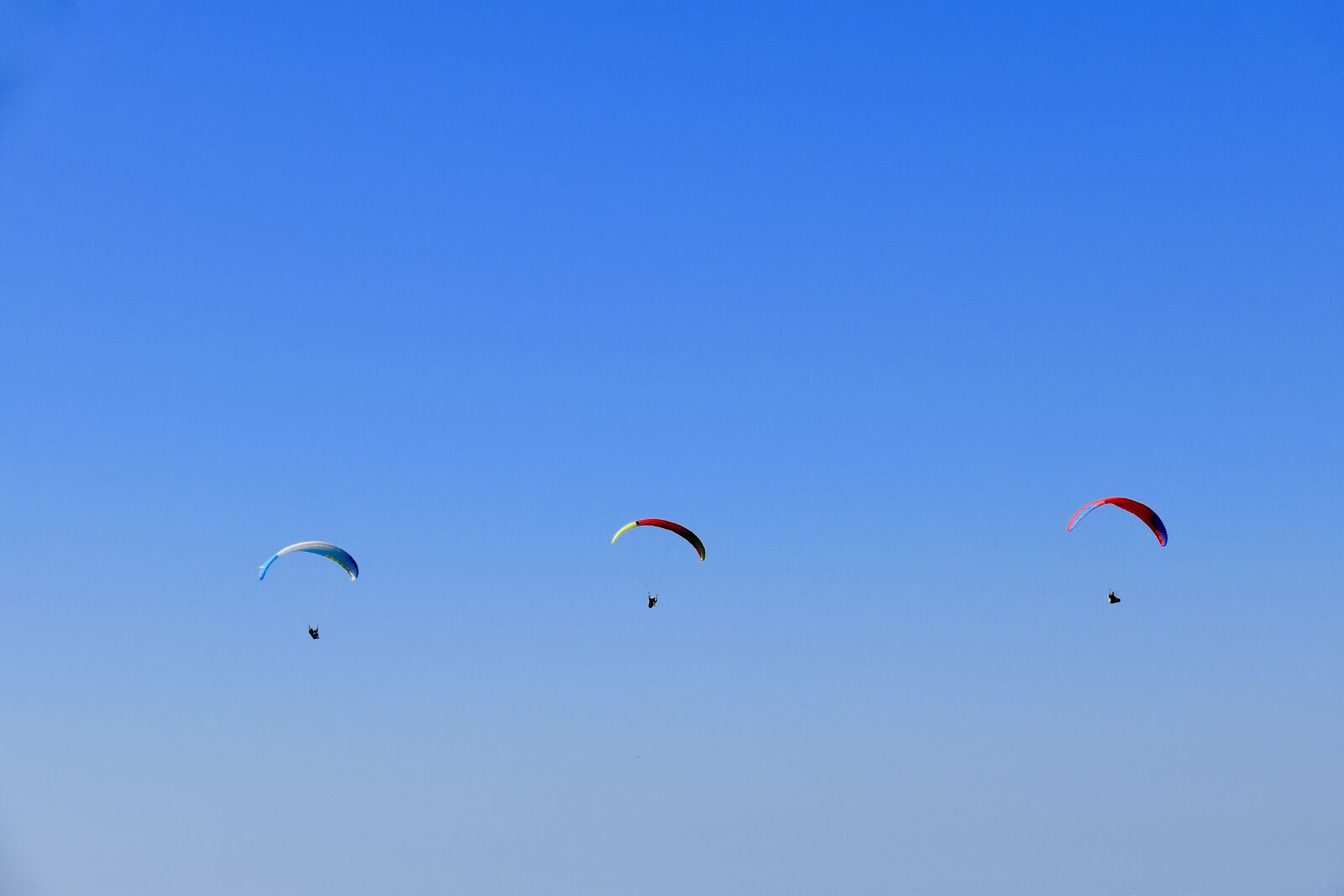 Nikon D5600 sample photo. Paragliding, paraglider, fly photography