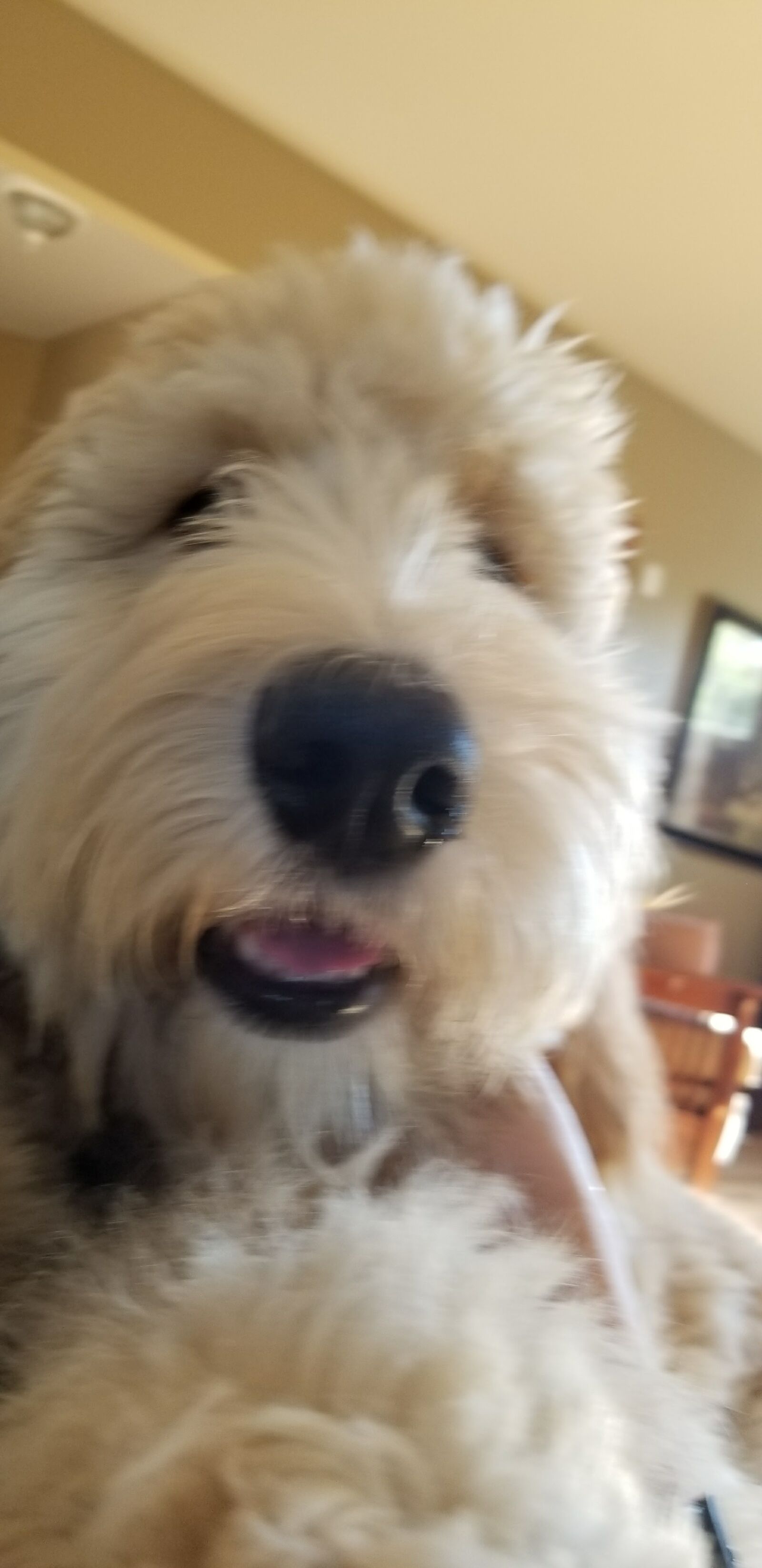 Samsung Galaxy S8 sample photo