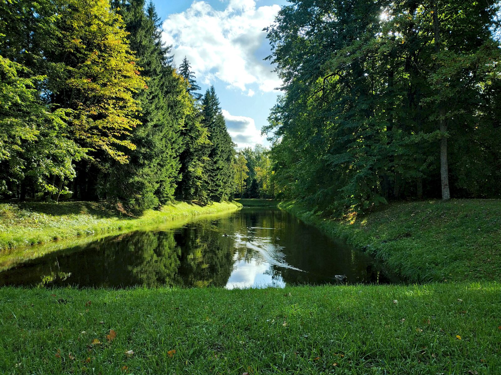 Xiaomi MI MAX 3 sample photo. Park, trees, lake photography