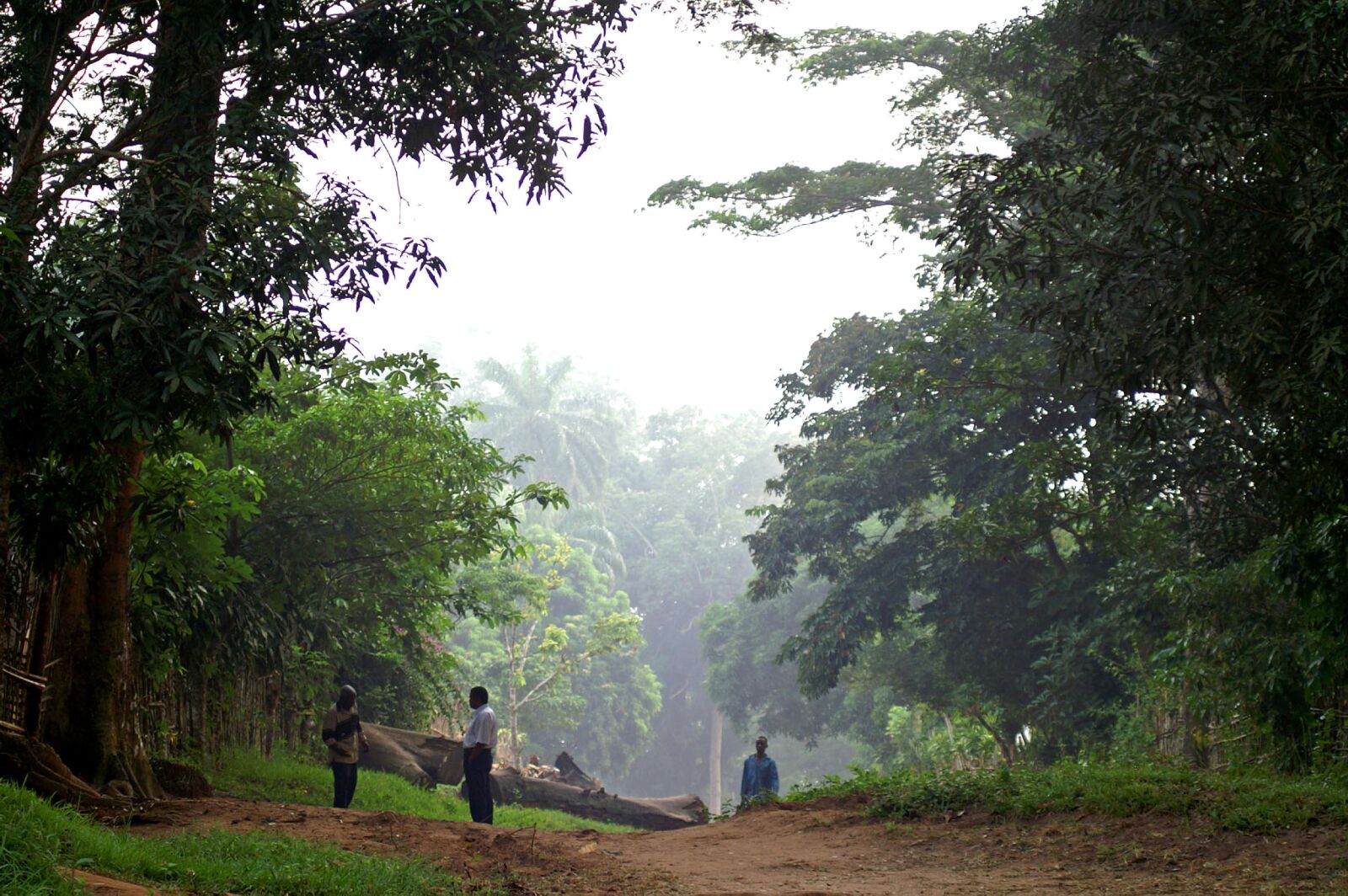 KONICA MINOLTA MAXXUM 7D sample photo. March, morning, congo, africa photography