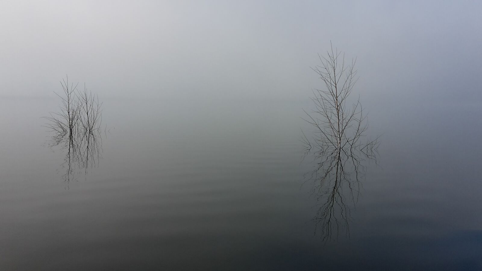Samsung Galaxy S5 Mini sample photo. Fog, water, nature photography