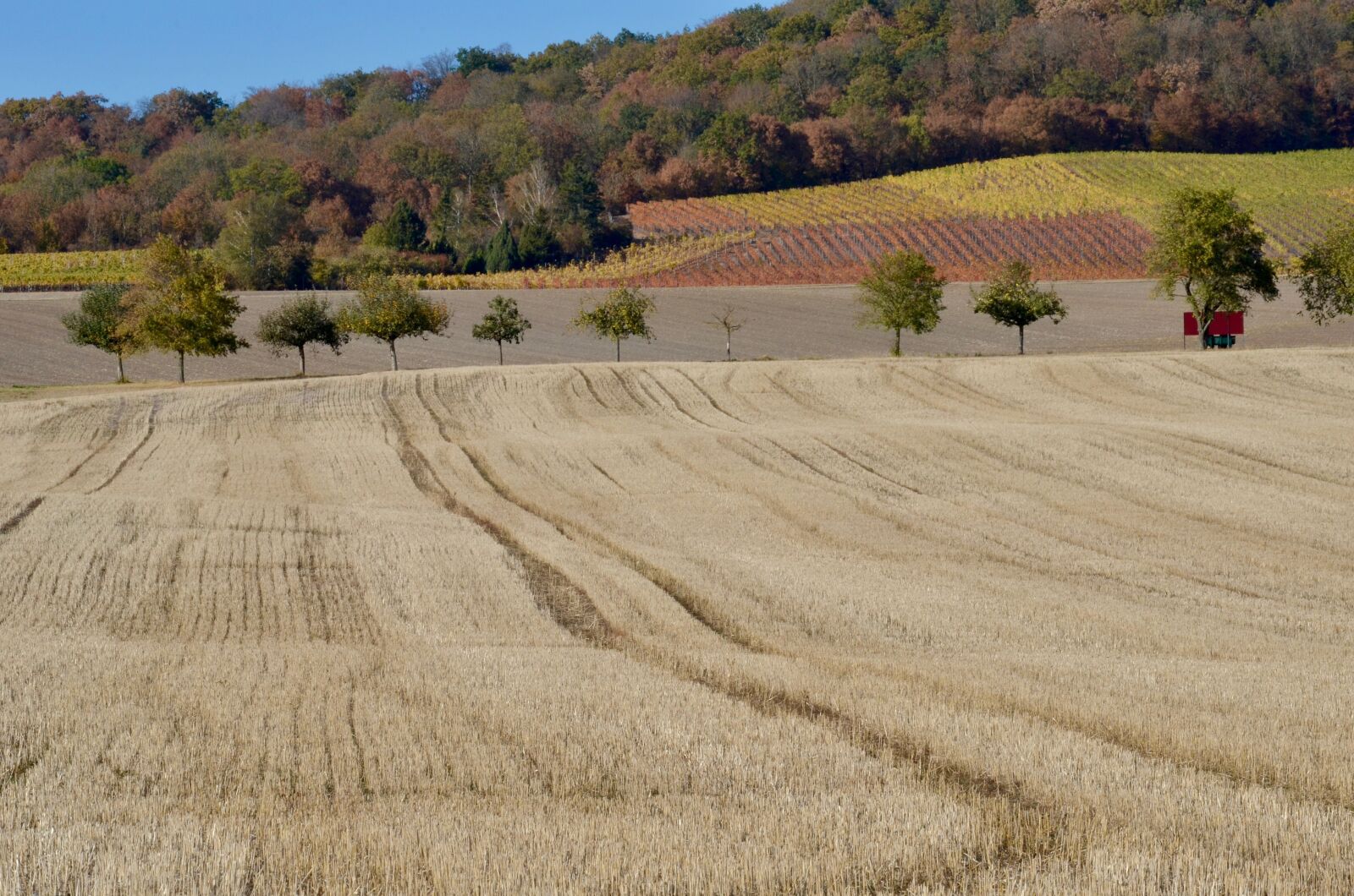Nikon D5100 sample photo. Field, arable, agriculture photography