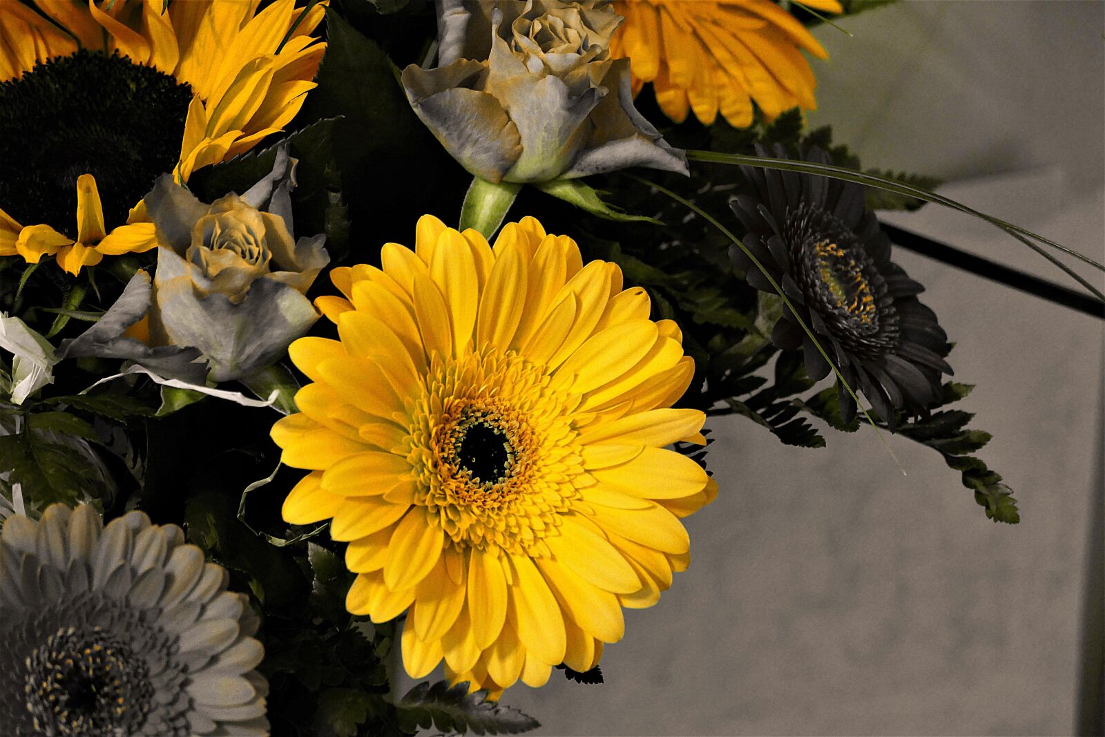Panasonic Lumix DMC-FZ1000 sample photo. Gerbera, yellow, blossom photography