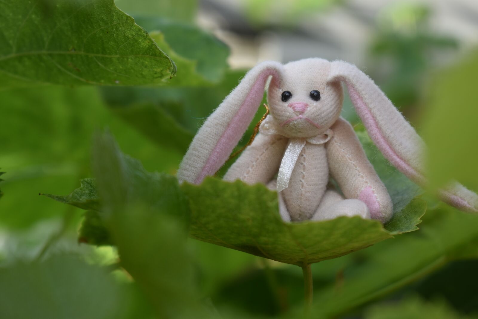 Nikon D3500 sample photo. Bunny, cute, easter photography