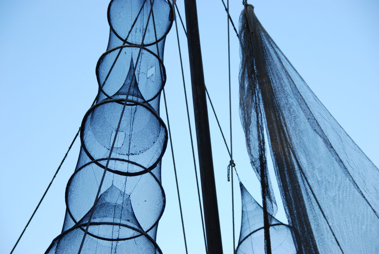 Nikon D80 sample photo. Air, blue, fish photography