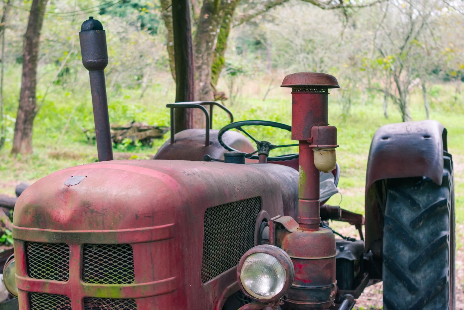 Nikon D3400 sample photo. Tractor, red, vehicle photography
