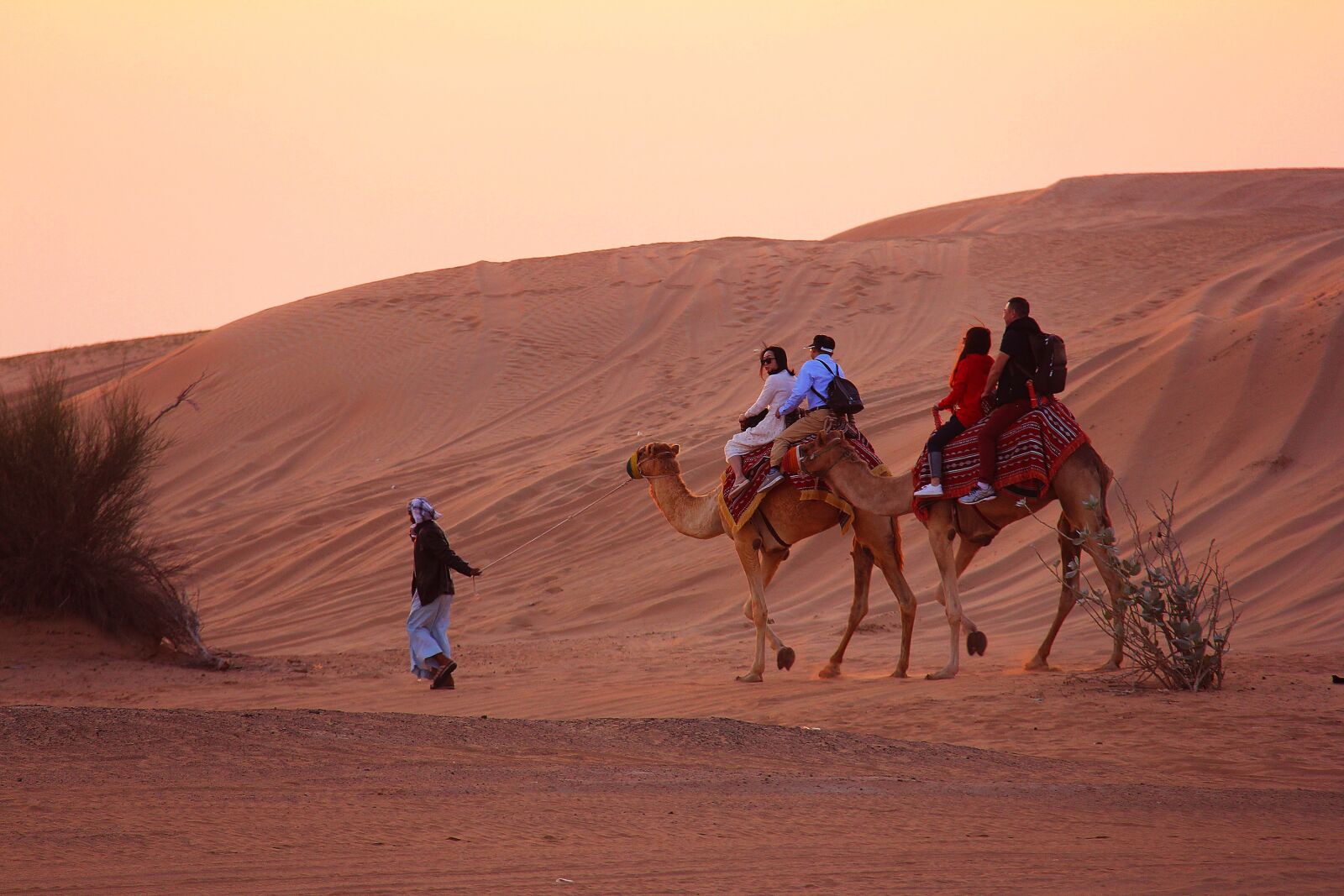 Canon EF-S 18-200mm F3.5-5.6 IS sample photo. Camel, desert, people photography