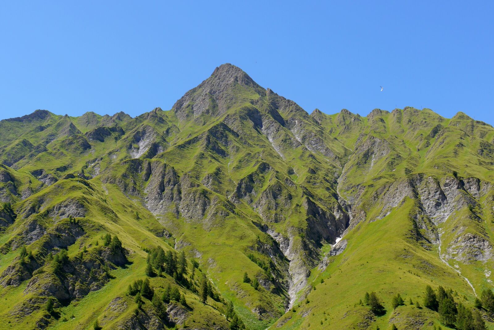 Panasonic Lumix DMC-G1 sample photo. Nature, mountain, swiss photography